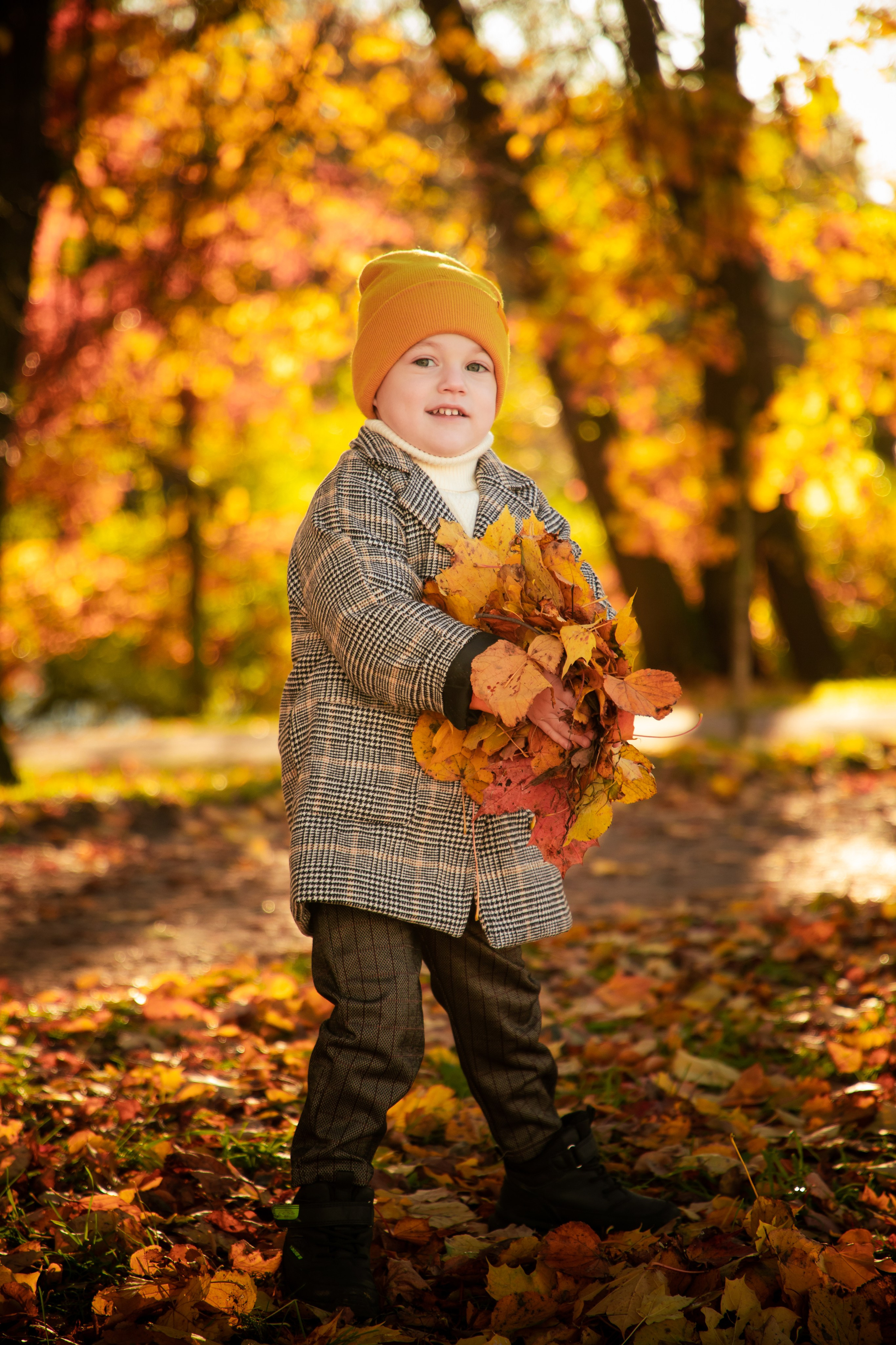 Осень. Фотограф Алексей Шуля — портфолио