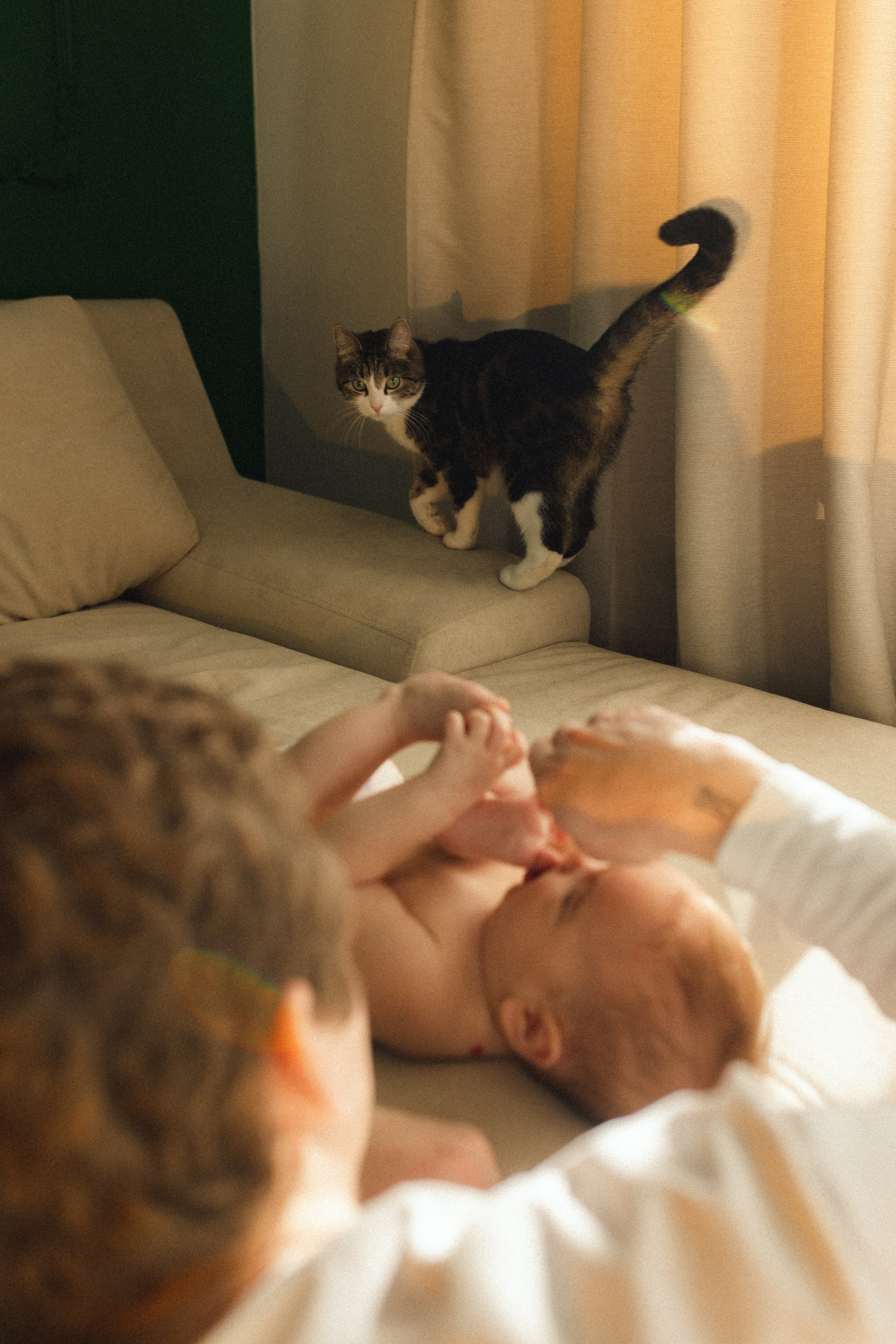 Весеннее настроение. Фотограф из Петербурга