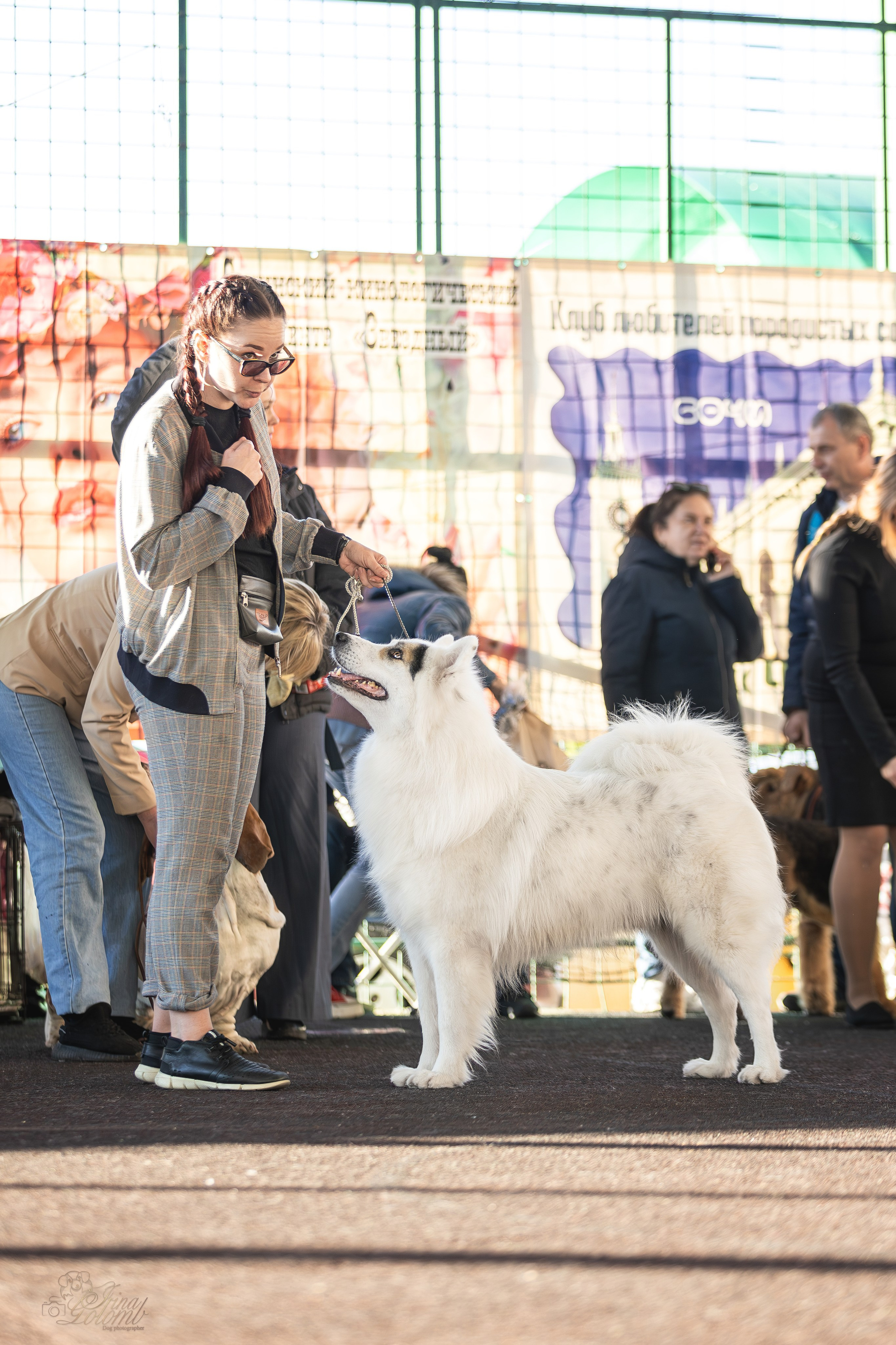 Выставка 25.02.2024. Ирина Голомб|Фотограф-анималист в  Сочи и Калининграде