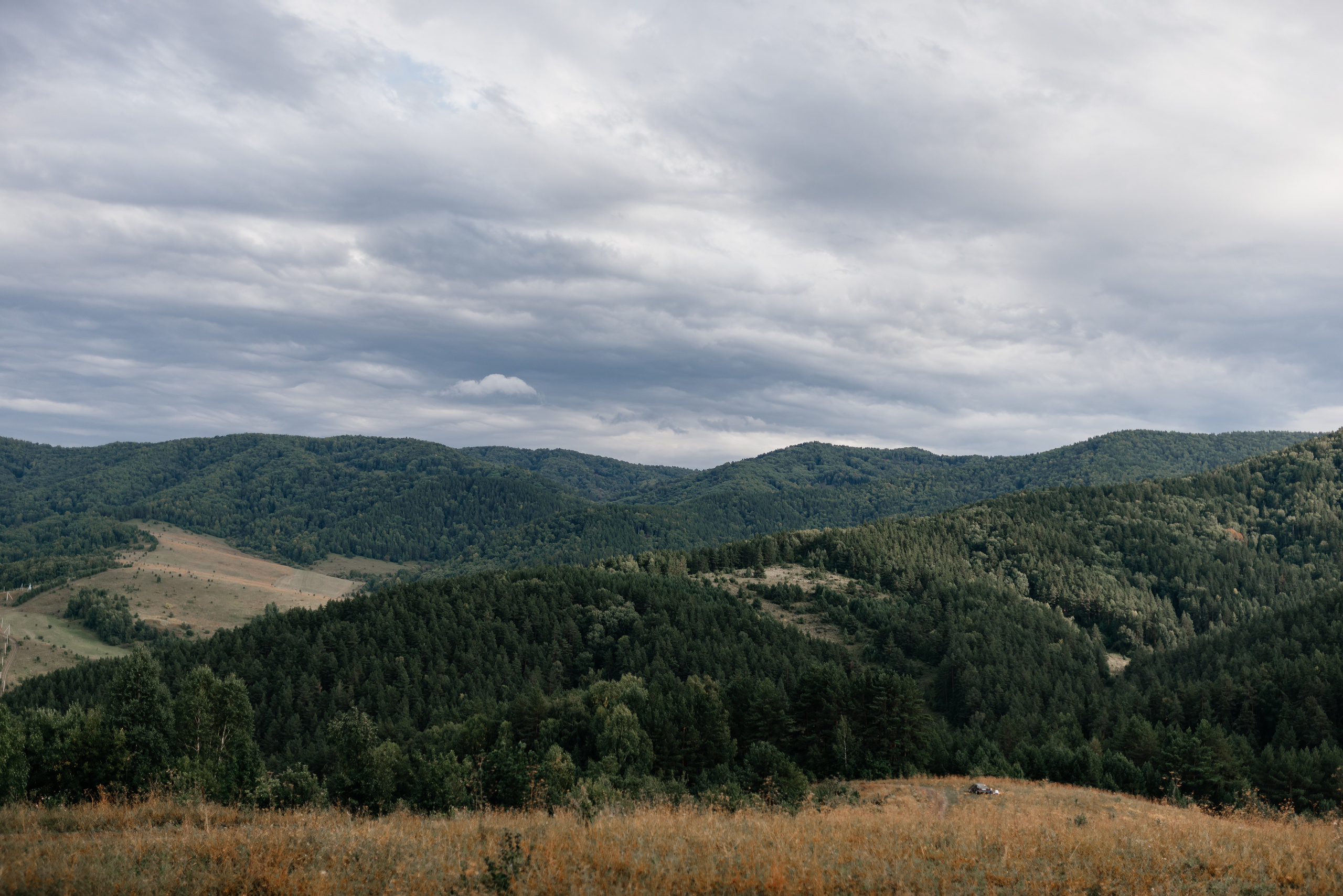 Дмитрий и Анастасия. Свадебная  съемка на Алтае