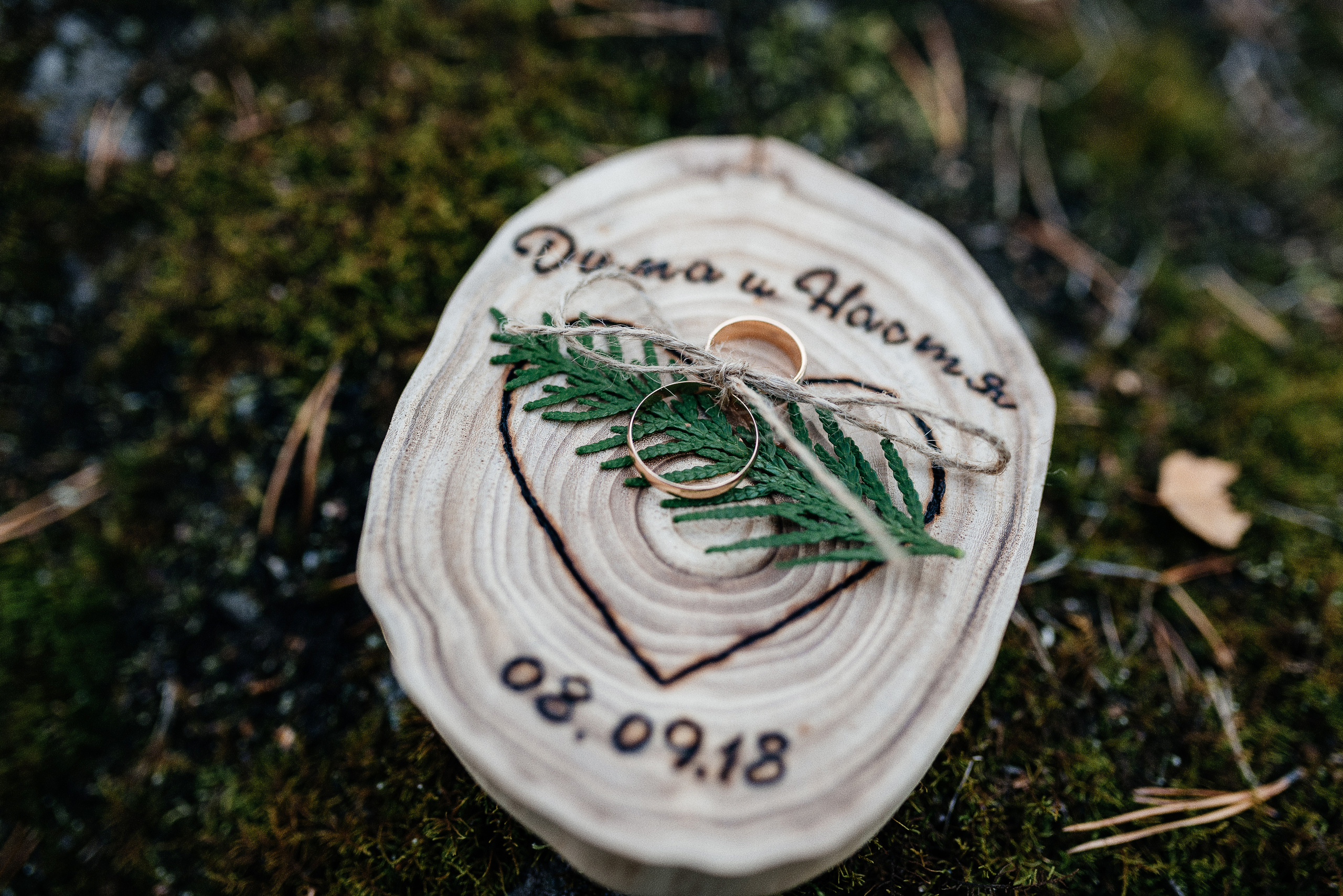 Дмитрий и Анастасия. Свадебная  съемка на Алтае