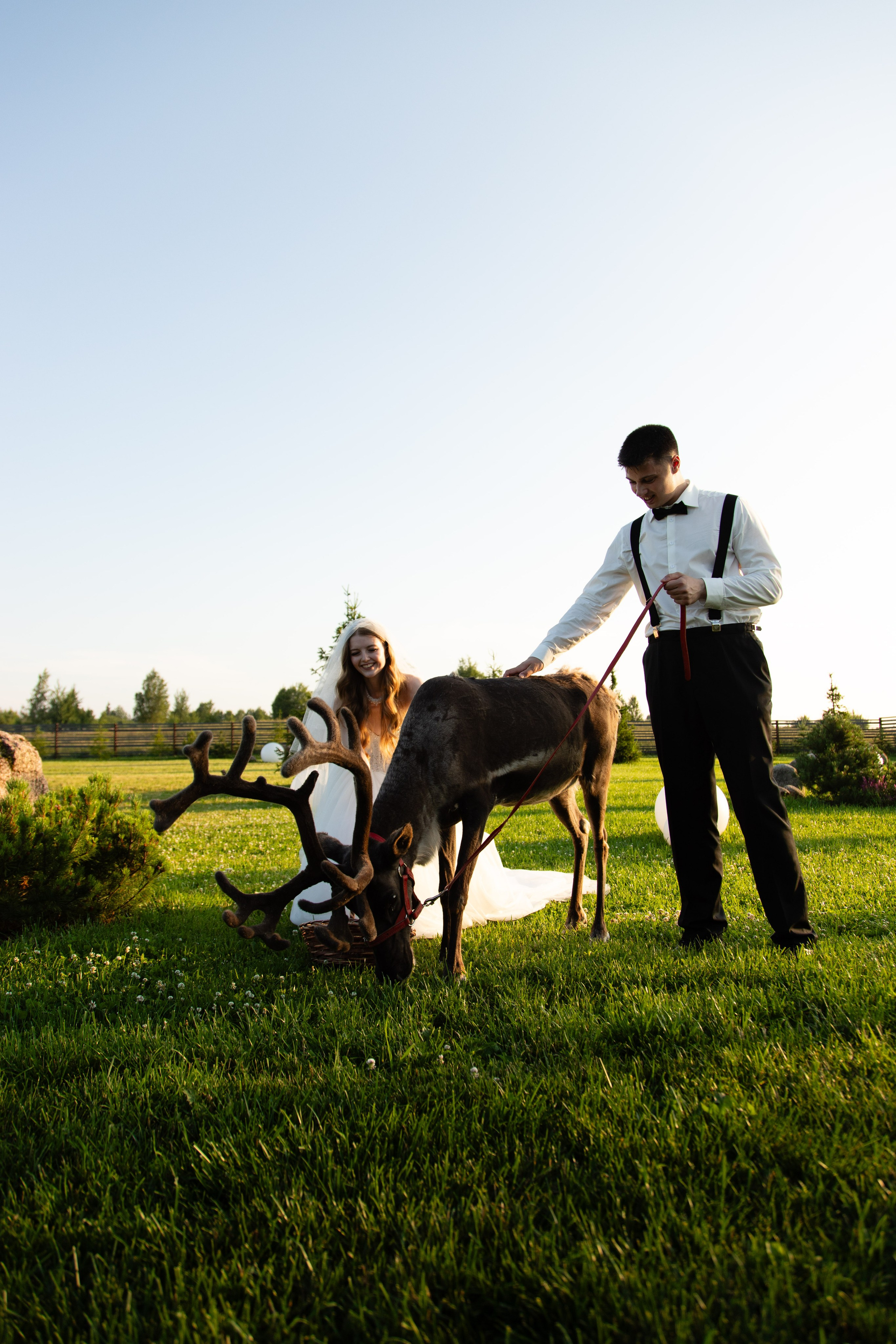 Лилиана и Сергей. Свадебный фотограф в СПб и Москве Павел Сергеев
