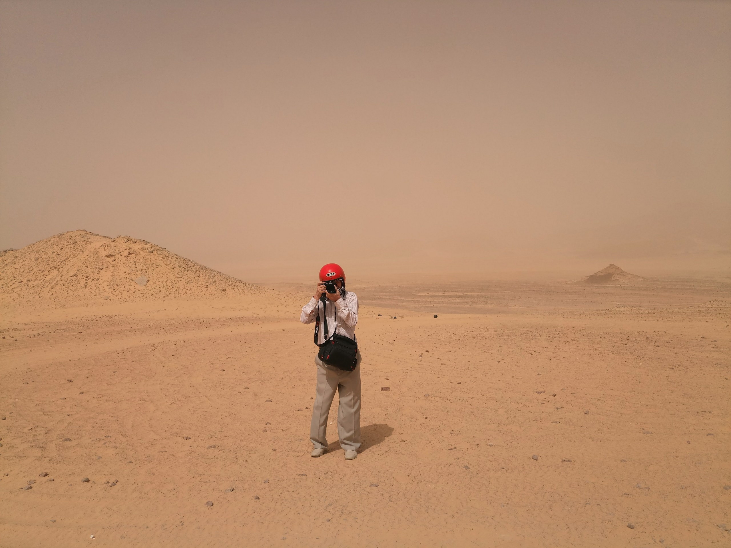 Шарм-эль-Шейх 2022, сафари. Избранные фотографии