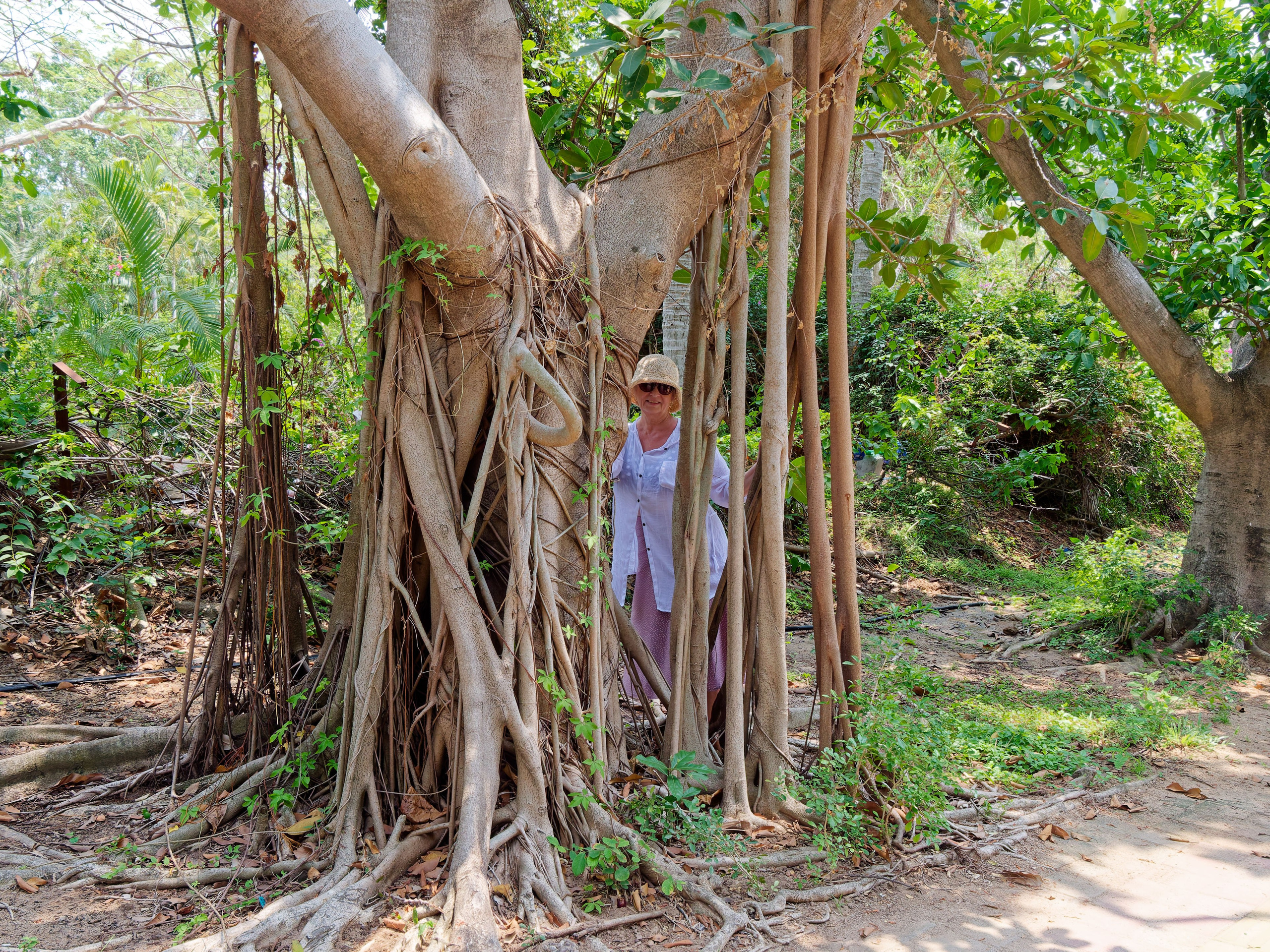 Хайнань 2026, улицы Ялунвань и Саньи. Фотопрогулки по Миру