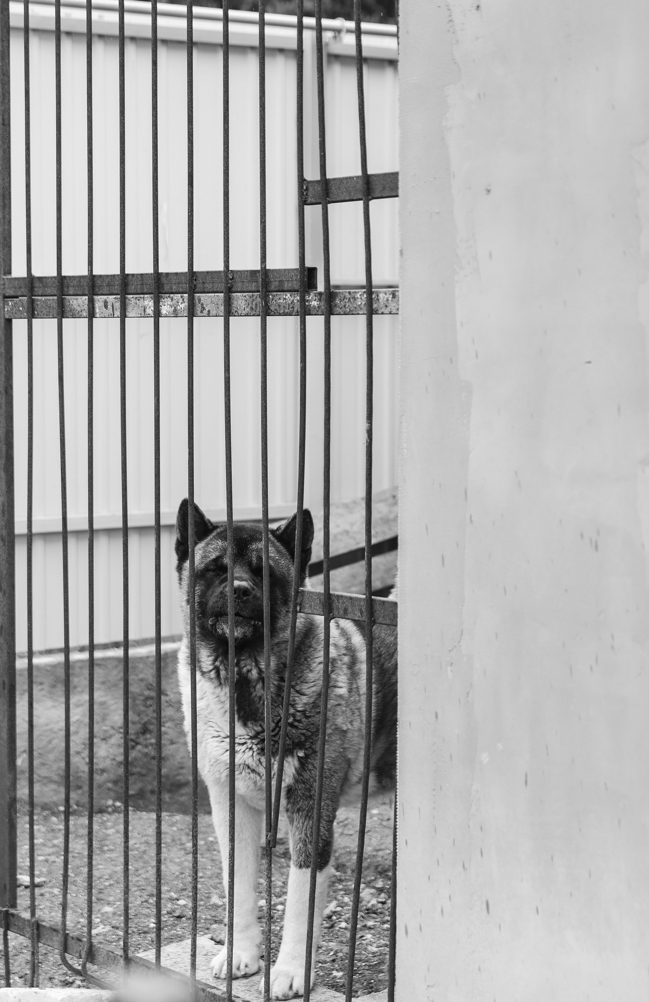 Анонс свадьба Максим и Татьяна. Свадебный и семейный фотограф в Севастополе и Крыму Анастасия Сураева