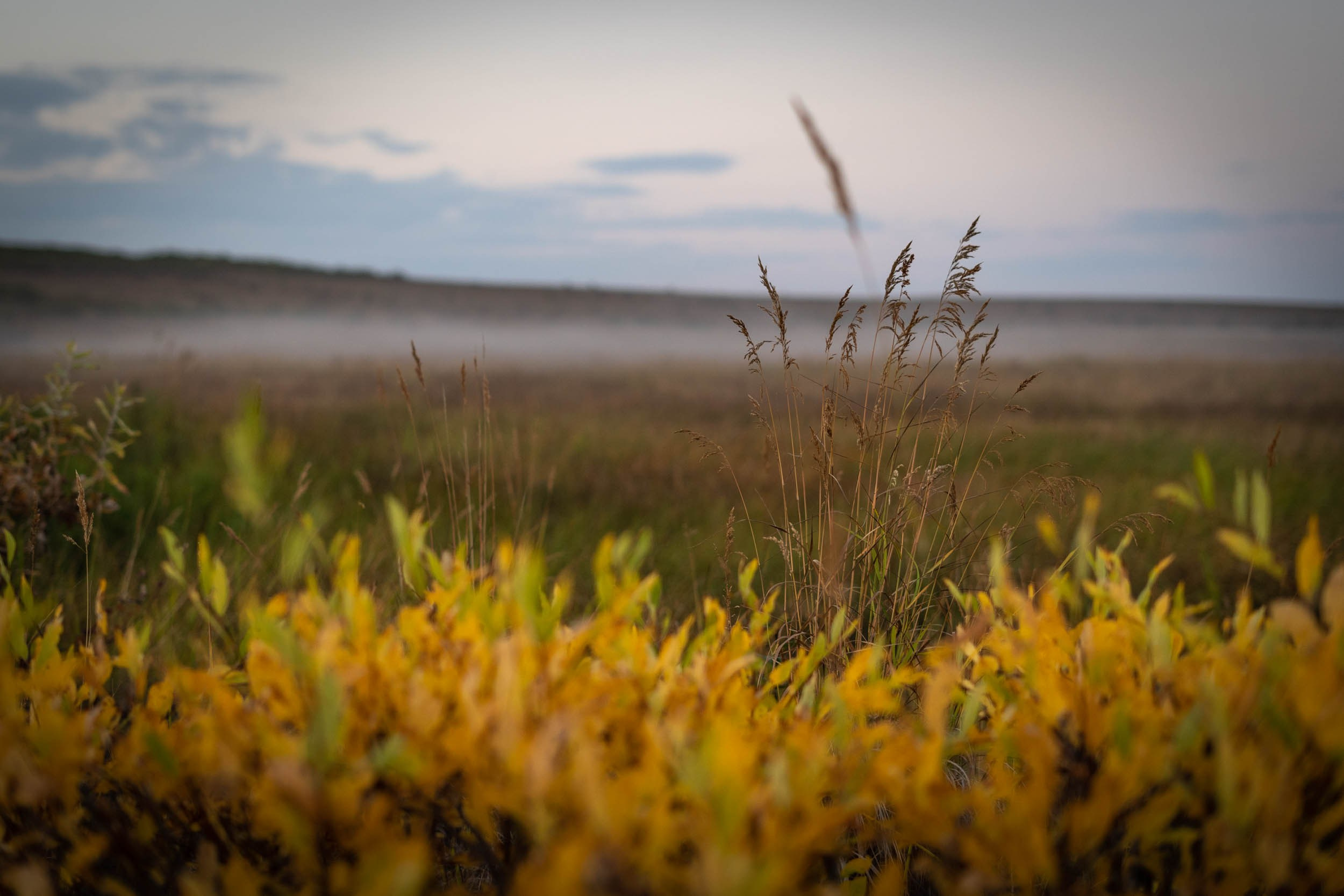 Рифы девонского моря. Фотограф Екатерина Зорина