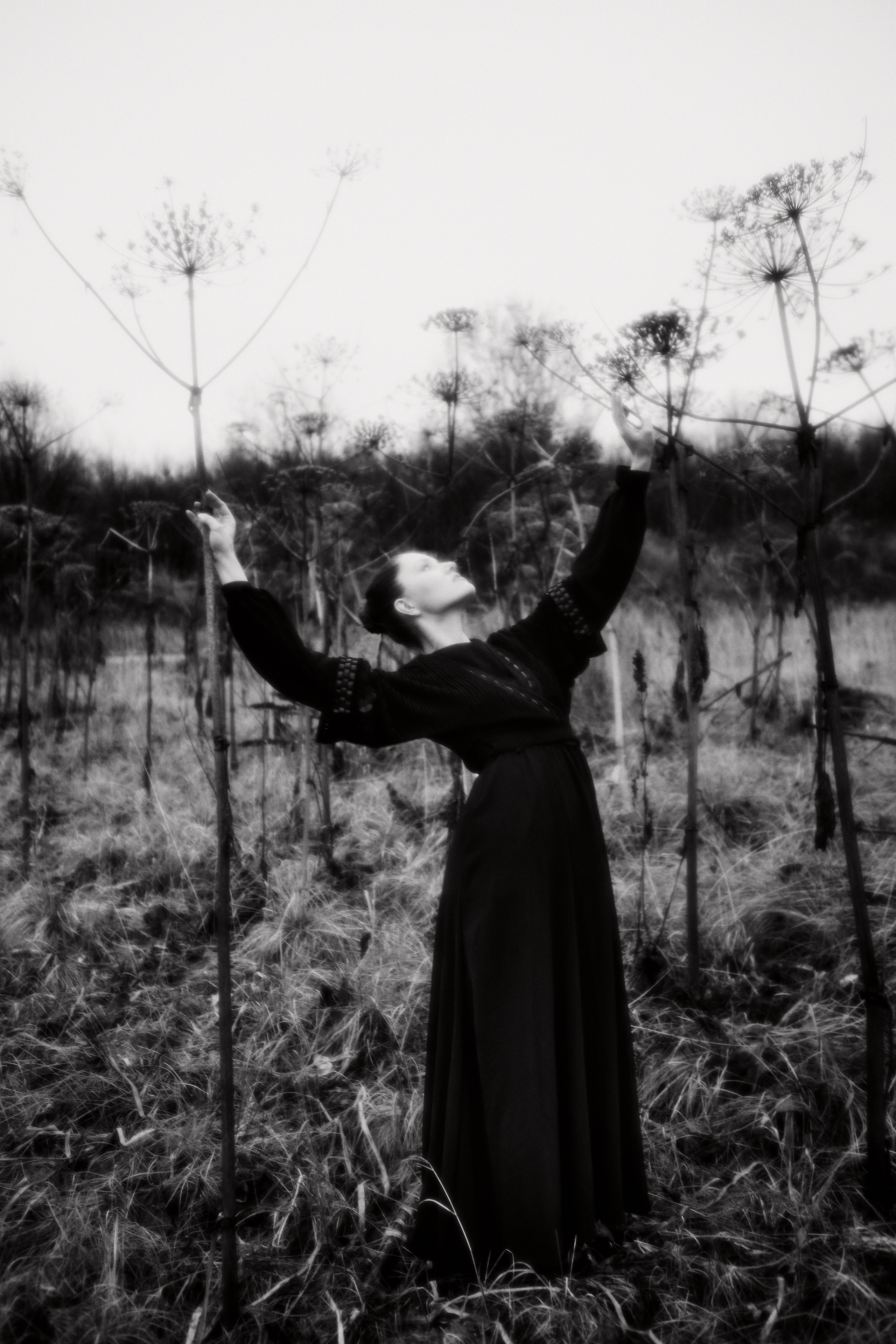 Hogweed. Fashion Photographer Oxana Chernomorets