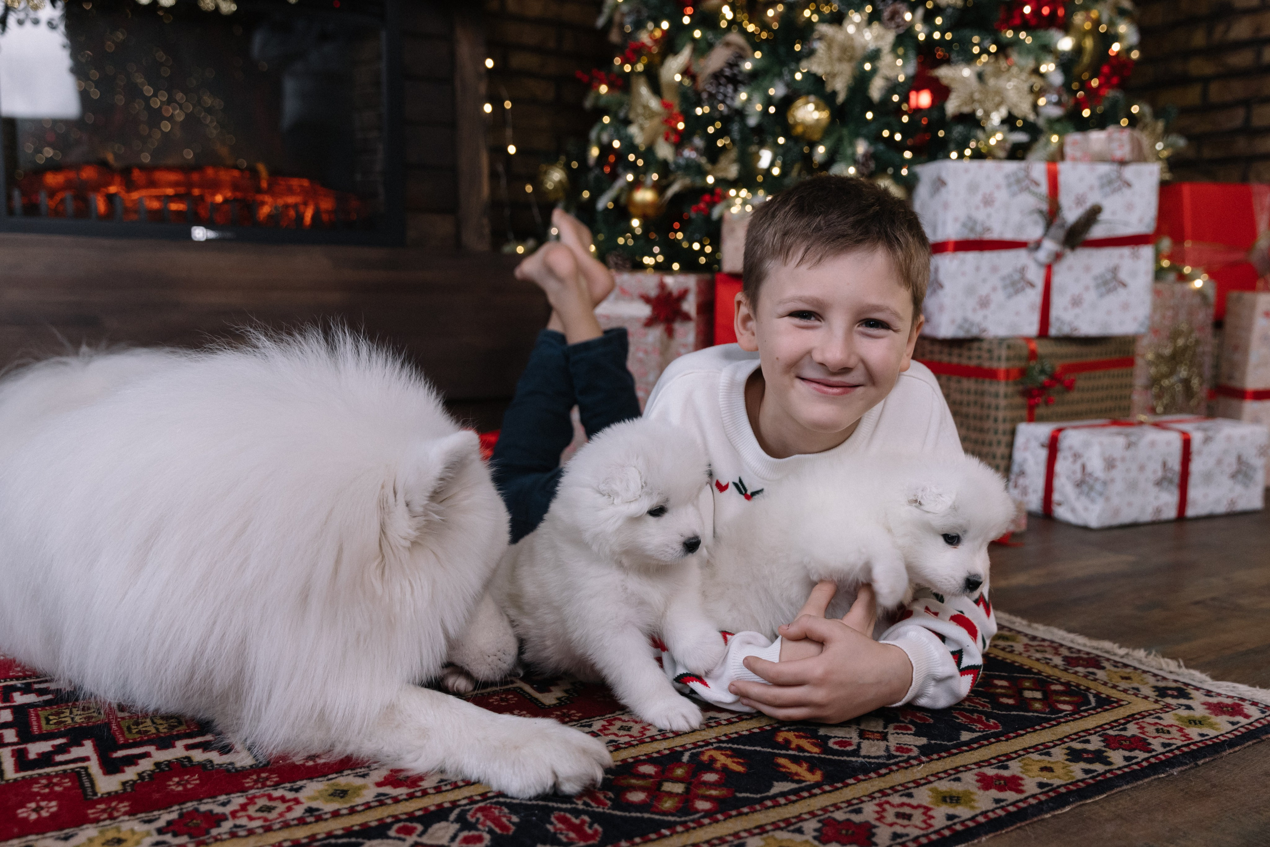 фотоссамоедами