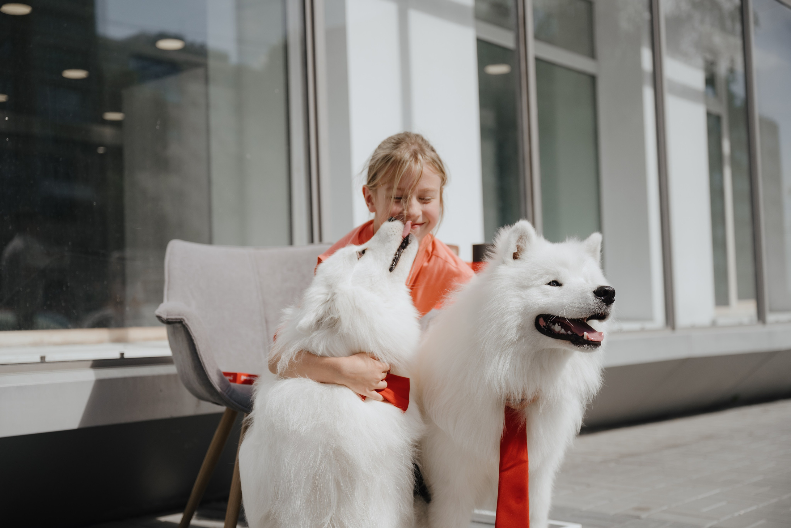 Альфа банк Карла Маркса 55. Фотограф Кристина Тумаева. Самоед Новосибирск