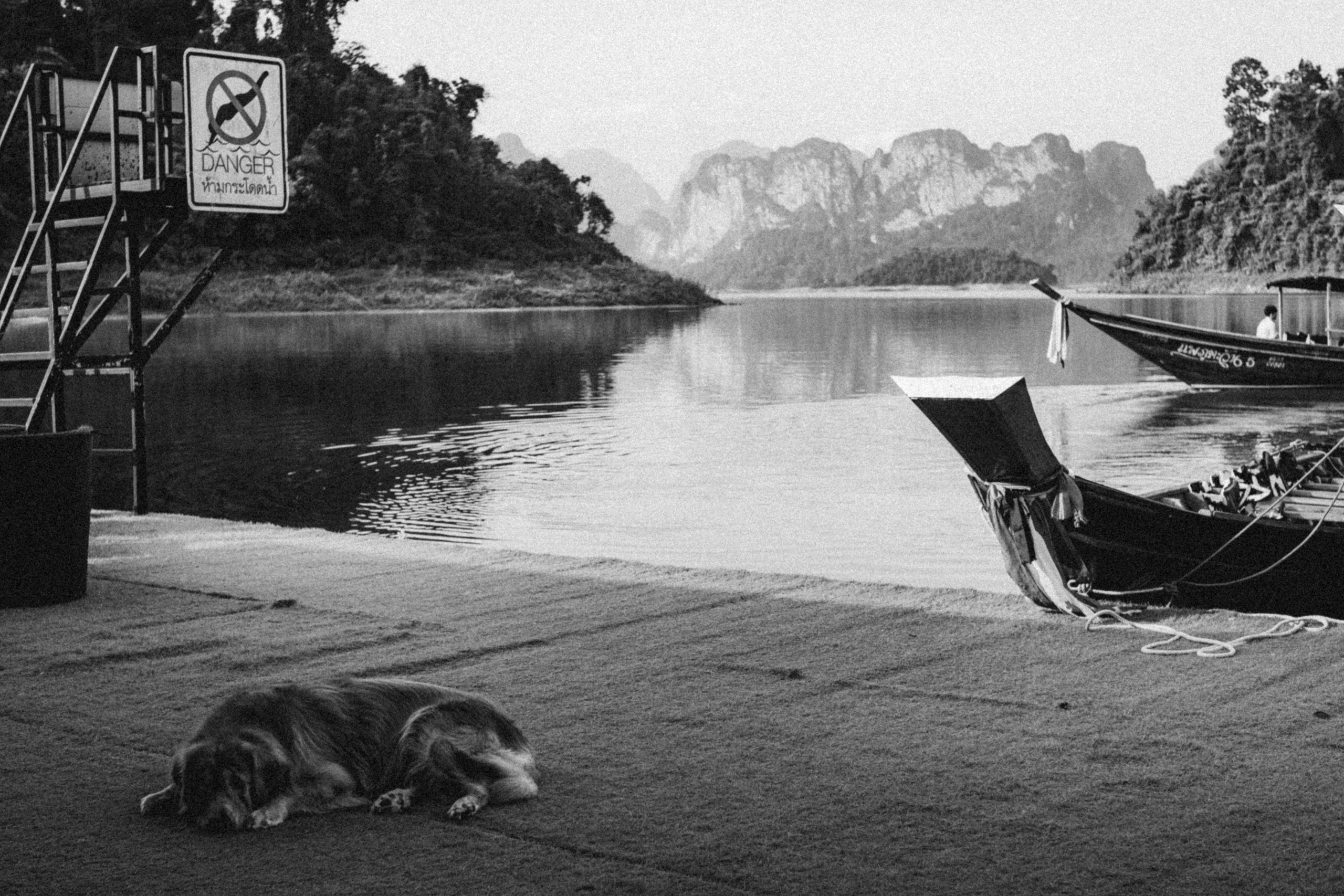 Жизнь. Игорь Гичка. Портрет с любовью