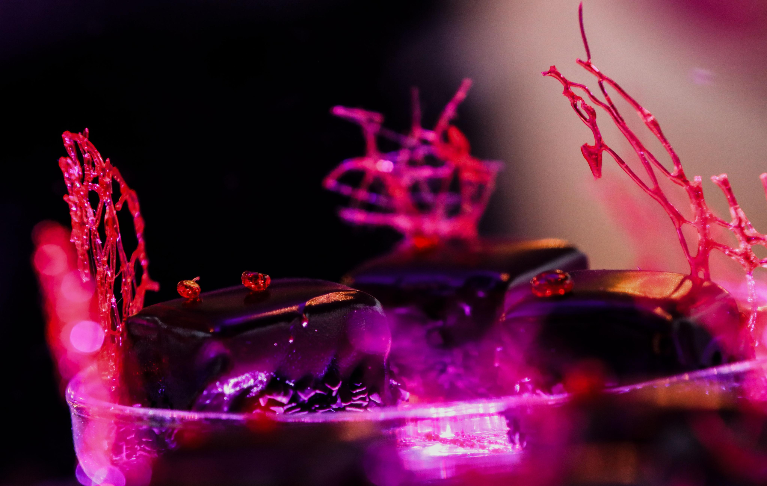 Презентцаия кейтеринга «Concord Catering». Фотограф в Москве Юлия Майорова