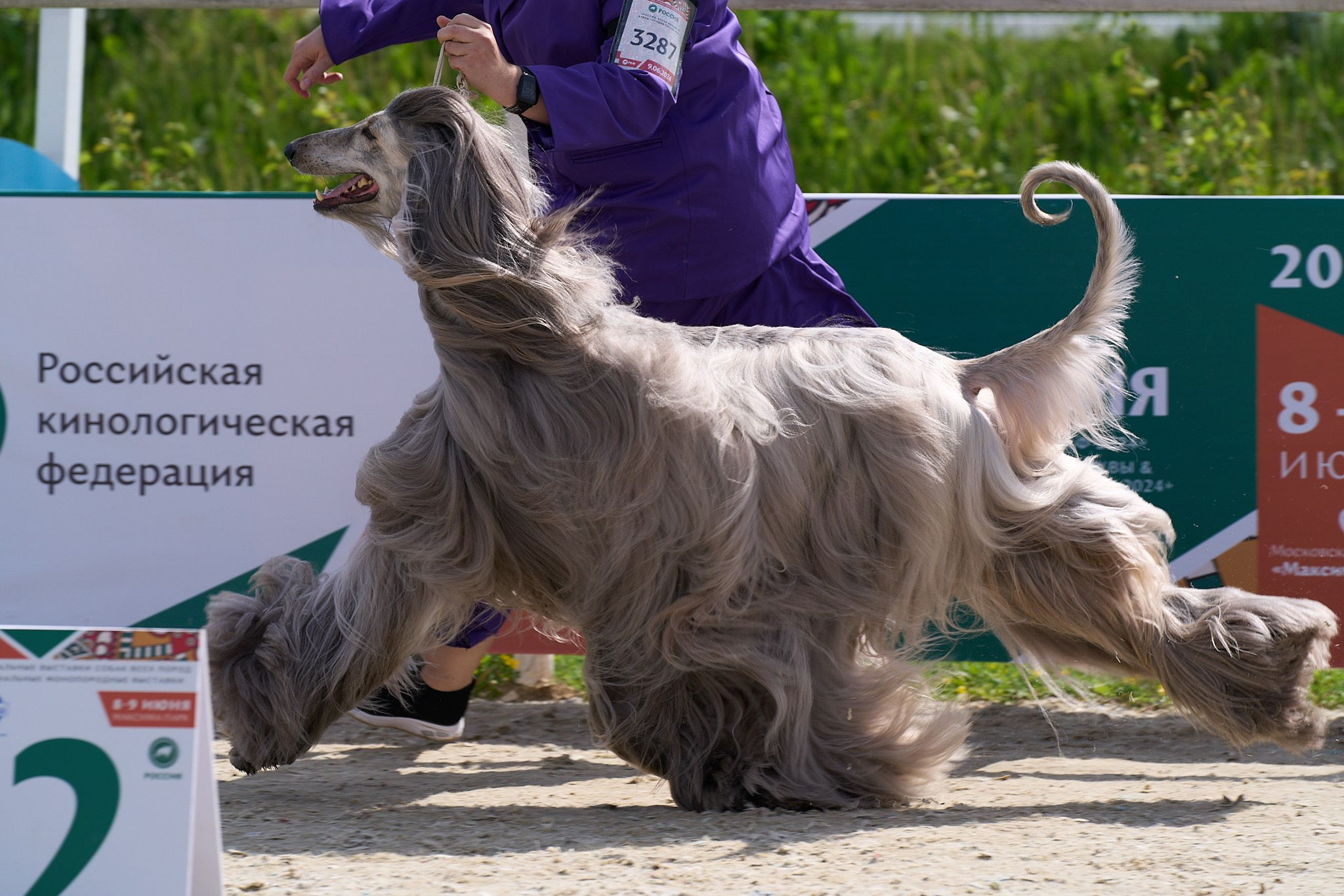 09.06.2024, «РОССИЯ. КУБОК МОСКВЫ 2024 & КУБОК ГОРОДОВ-ГЕРОЕВ»