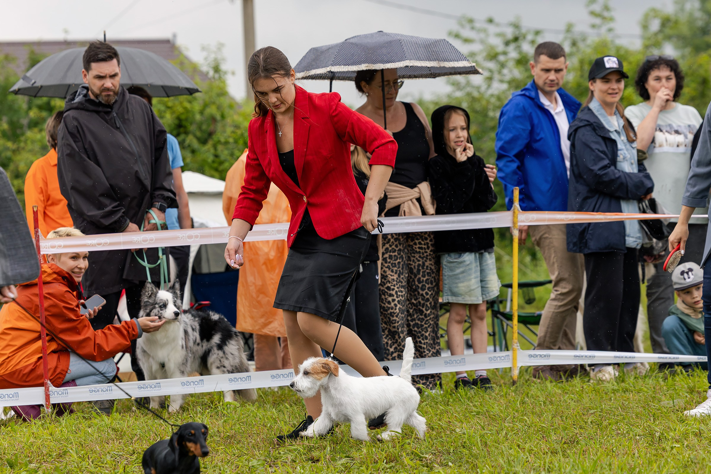 28 июня 2025, Выставка РКФ, г. Кунгур. Htykk_photo