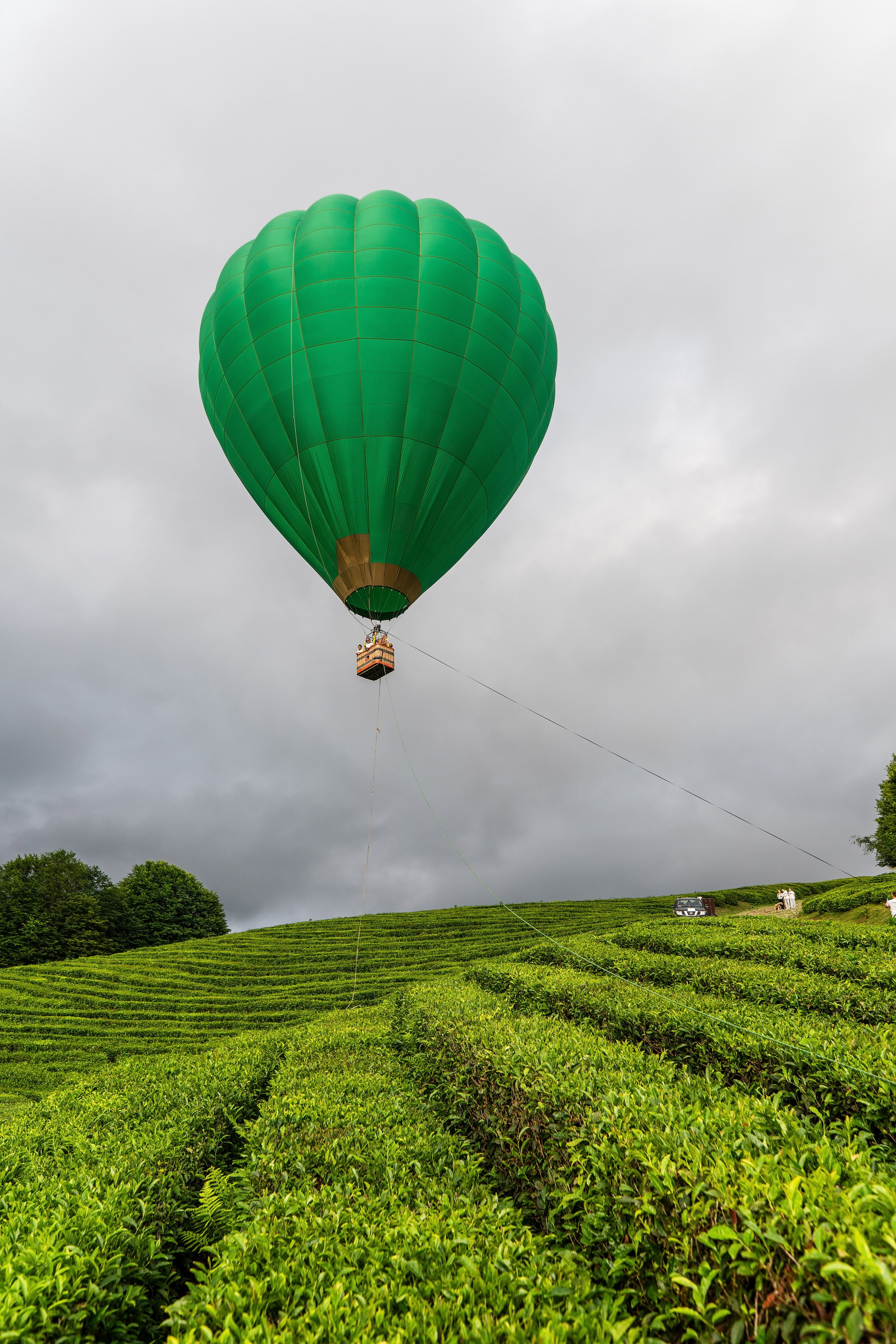Фотограф на праздник Сочи. Фотограф Сочи