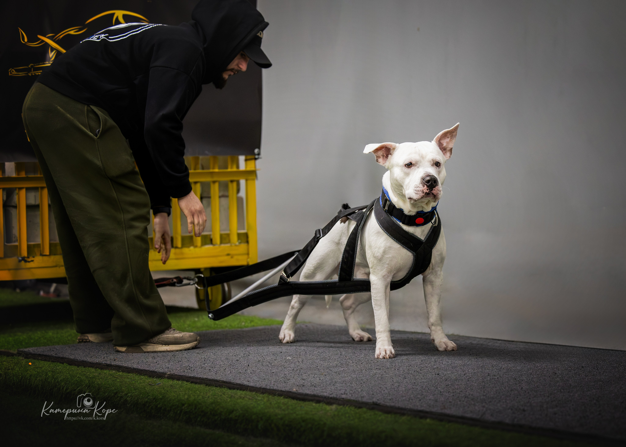 Спорт. Главная