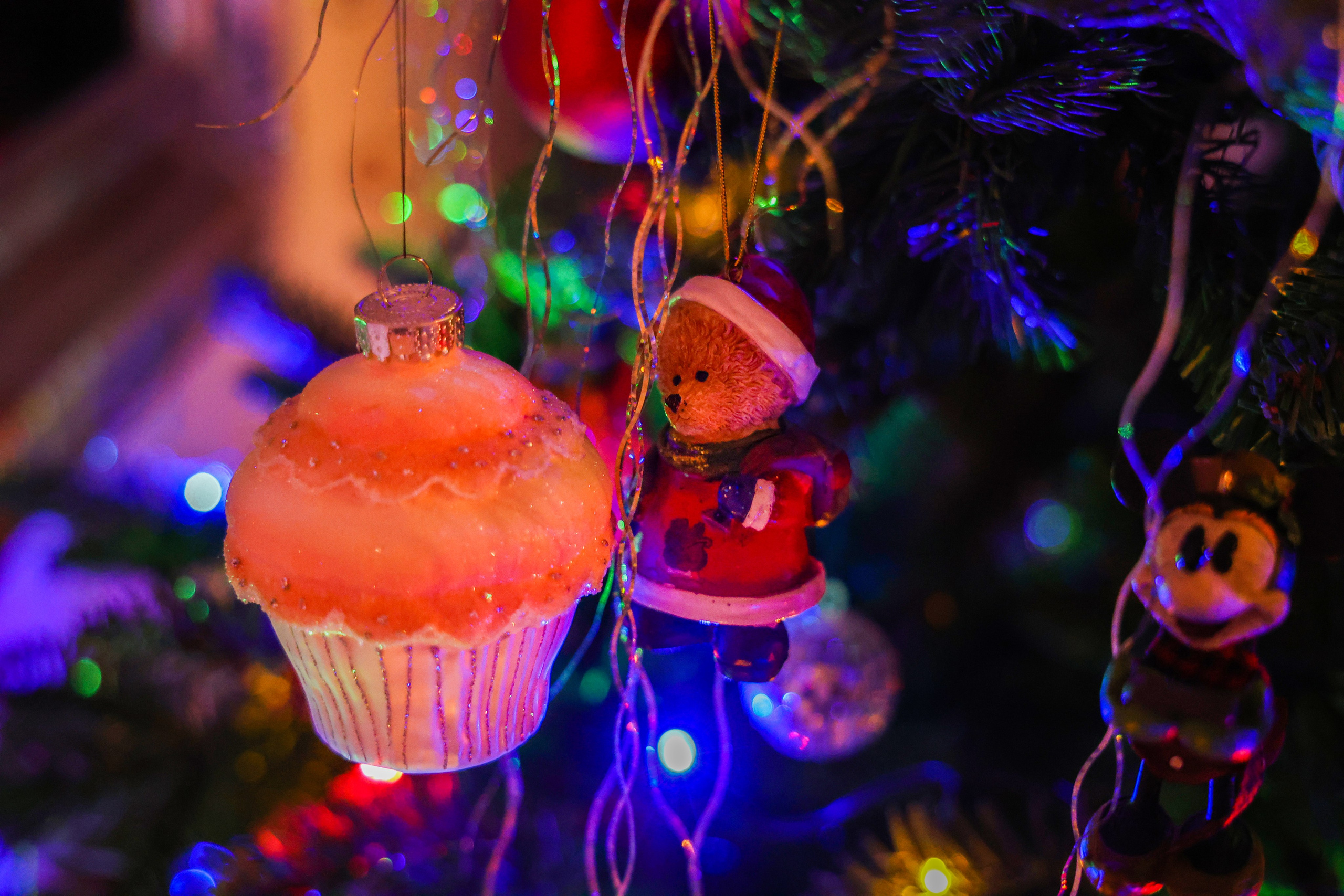 Christmas tree. Portrait photographer based in Toronto — Blinova Mariia