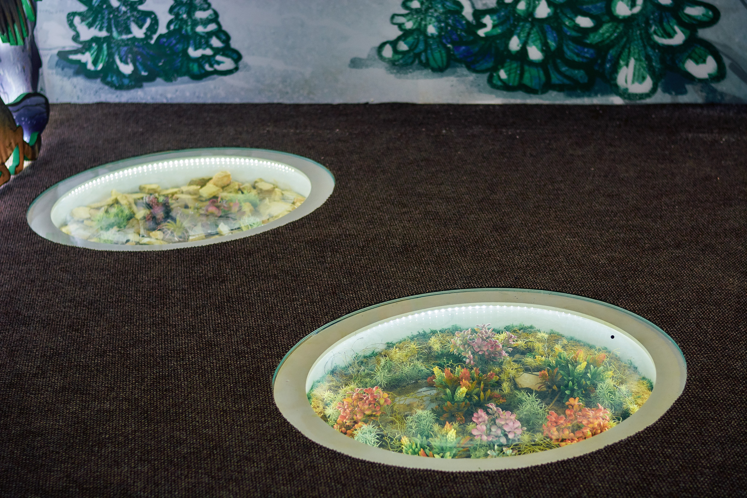 Интерьерная съемка Визит-центр Национальный парк «Кисловодский». Константин Кордонский | Интерьерный и food-фотограф в Кисловодске и КМВ