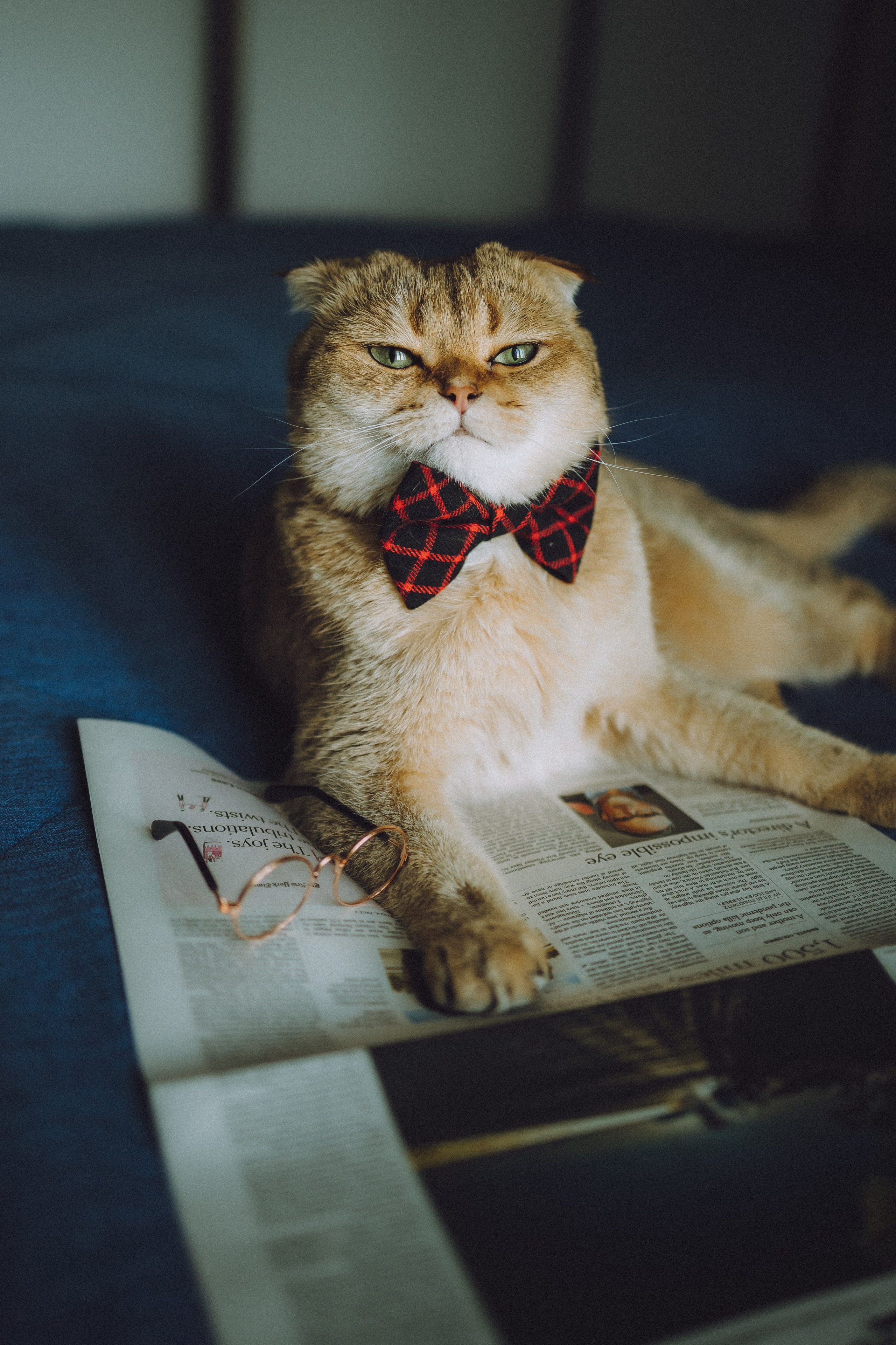 Генри и его семья