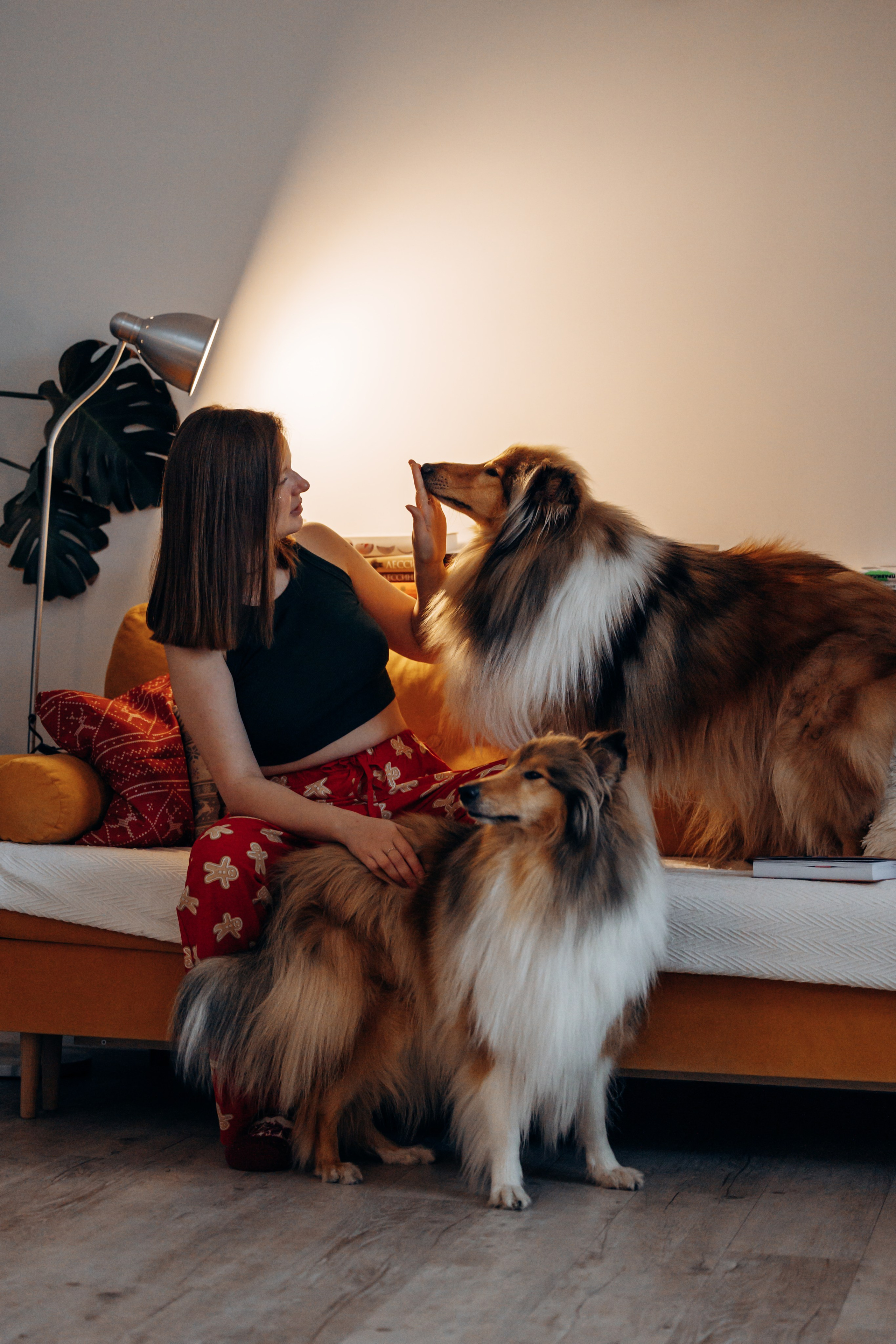 Юлиана, Элли и Райан. YULA KOLESOVA | Фотограф — Анималист | Художник | Тюмень