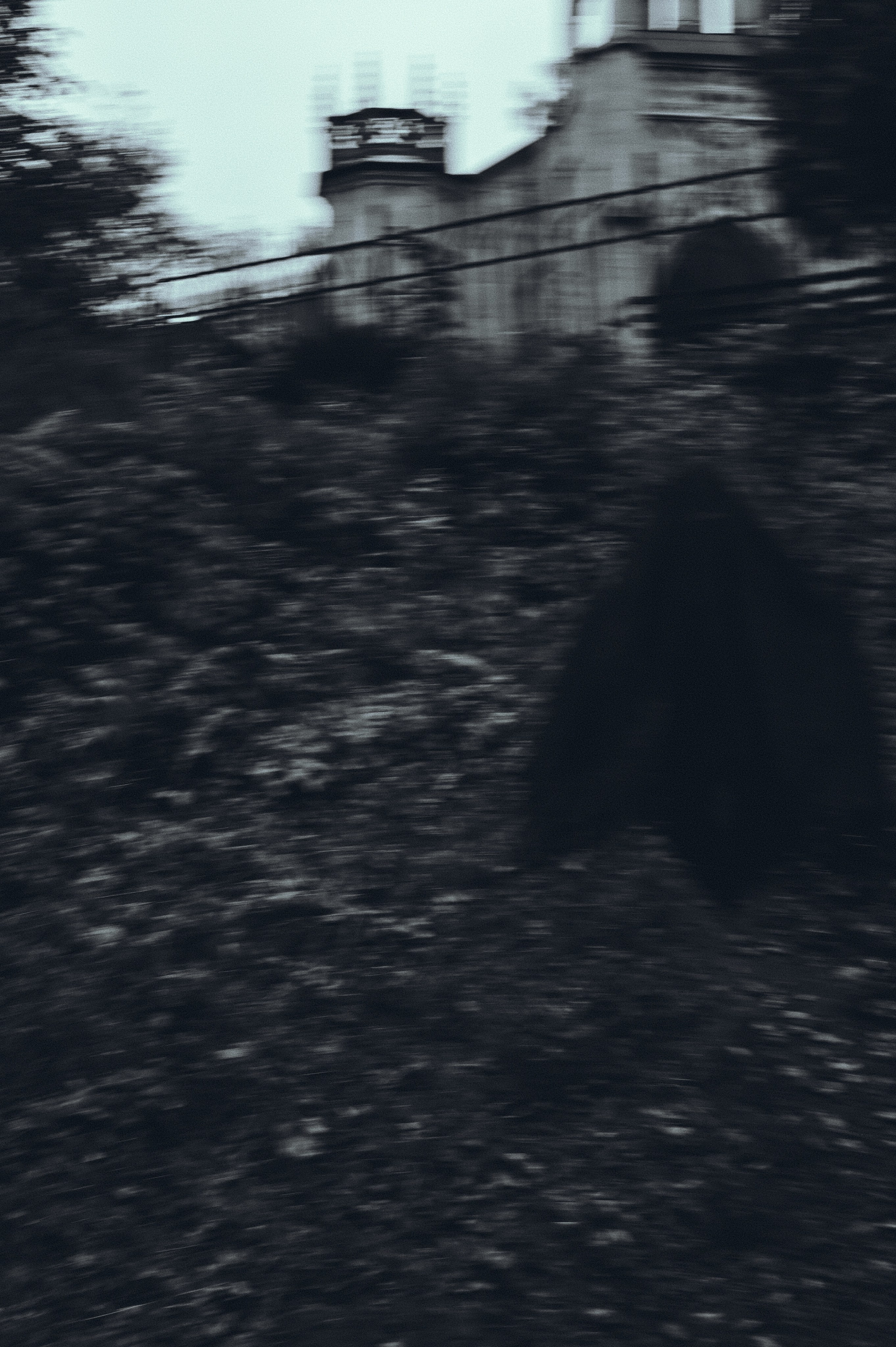 Вдохновление утренним туманом. Ваагн Малхасян | Фотограф | Санкт-Петербург. Создаю атмосферные кадры