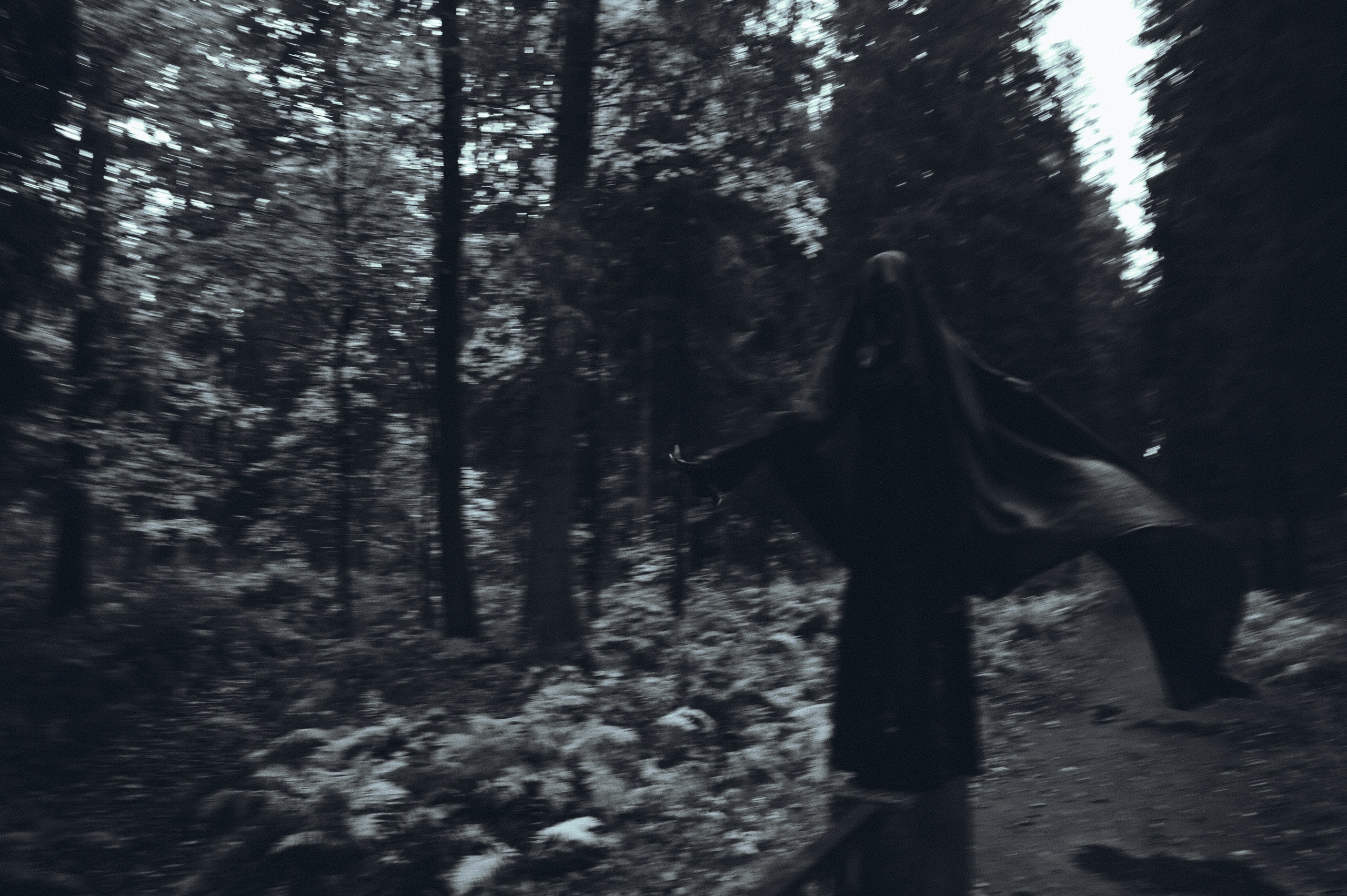 Вдохновление утренним туманом. Ваагн Малхасян | Фотограф | Санкт-Петербург. Создаю атмосферные кадры