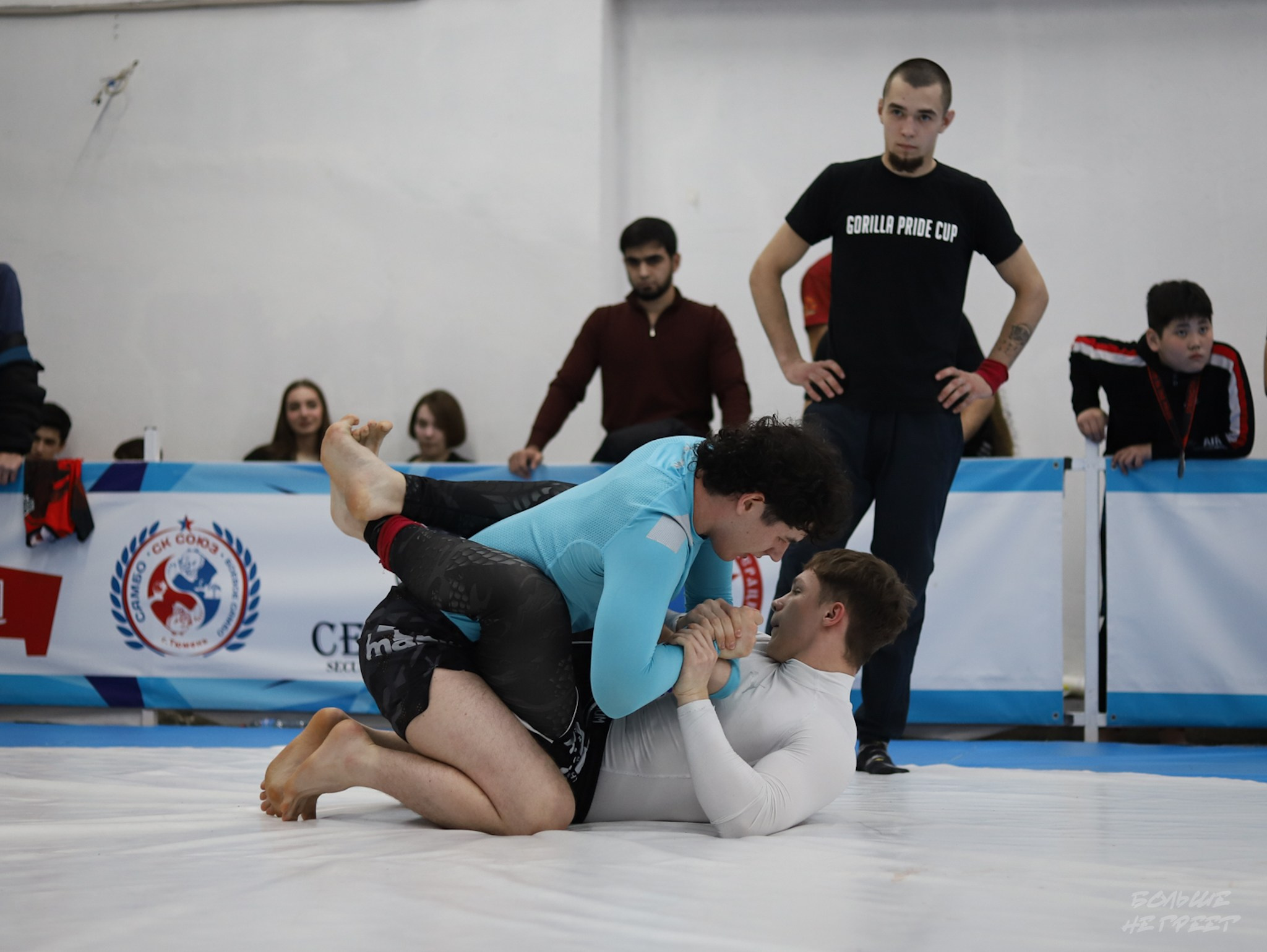 GORILLA PRIDE CUP. Больше не греет