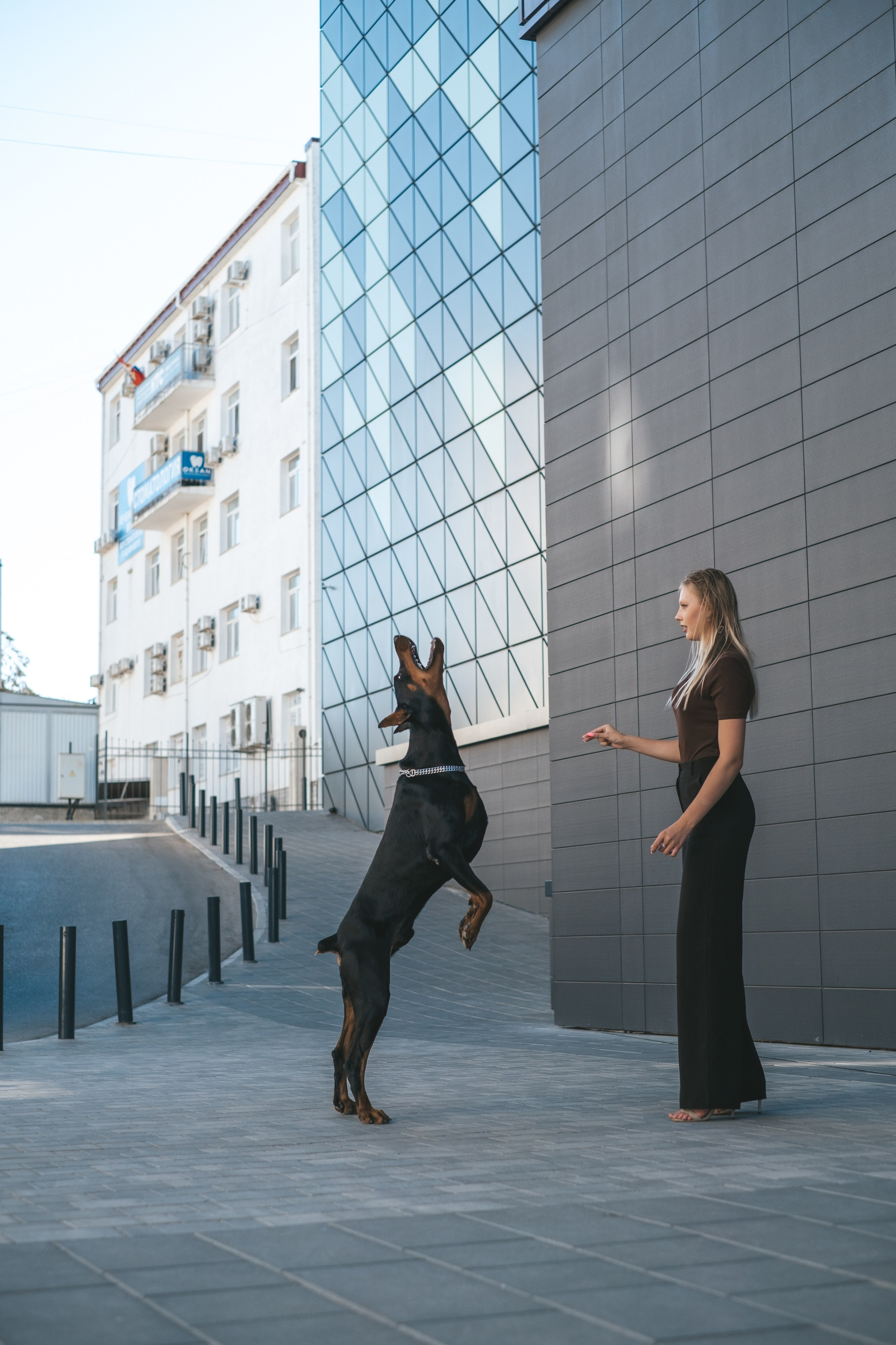 Фотосессия с Доберманом. Профессиональная фотосъемка в Крыму. Натуральные эмоции и живые кадры. Забронируйте дату прямо сейчас!