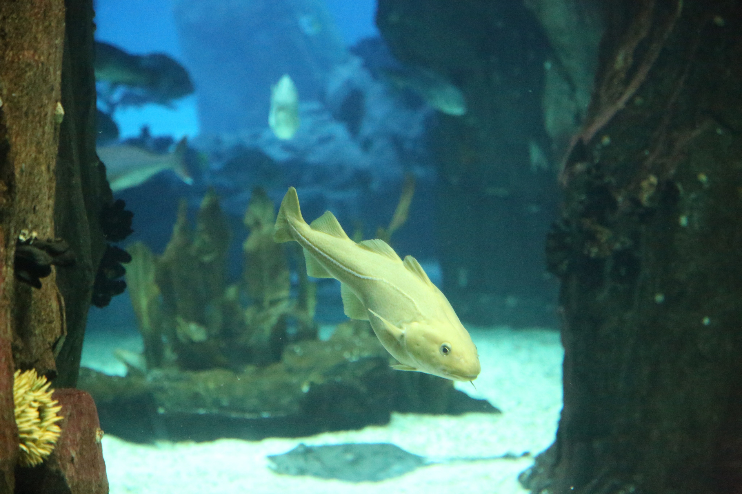 Lisbon, Portugal. Andrey Filippov Photographer