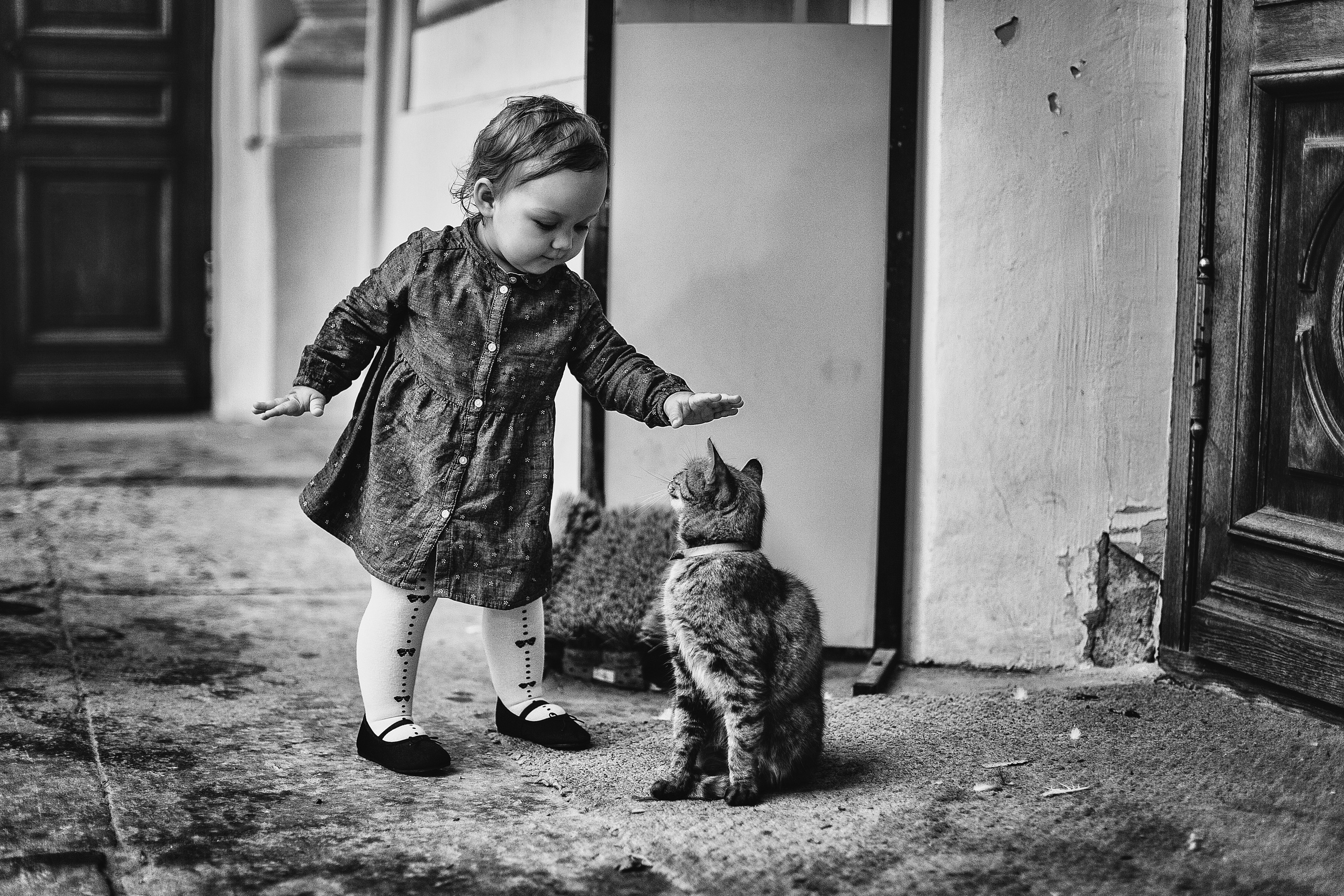 Детский, свадебный и семейный фотограф Юлия Курбатова, Санкт-Петербург