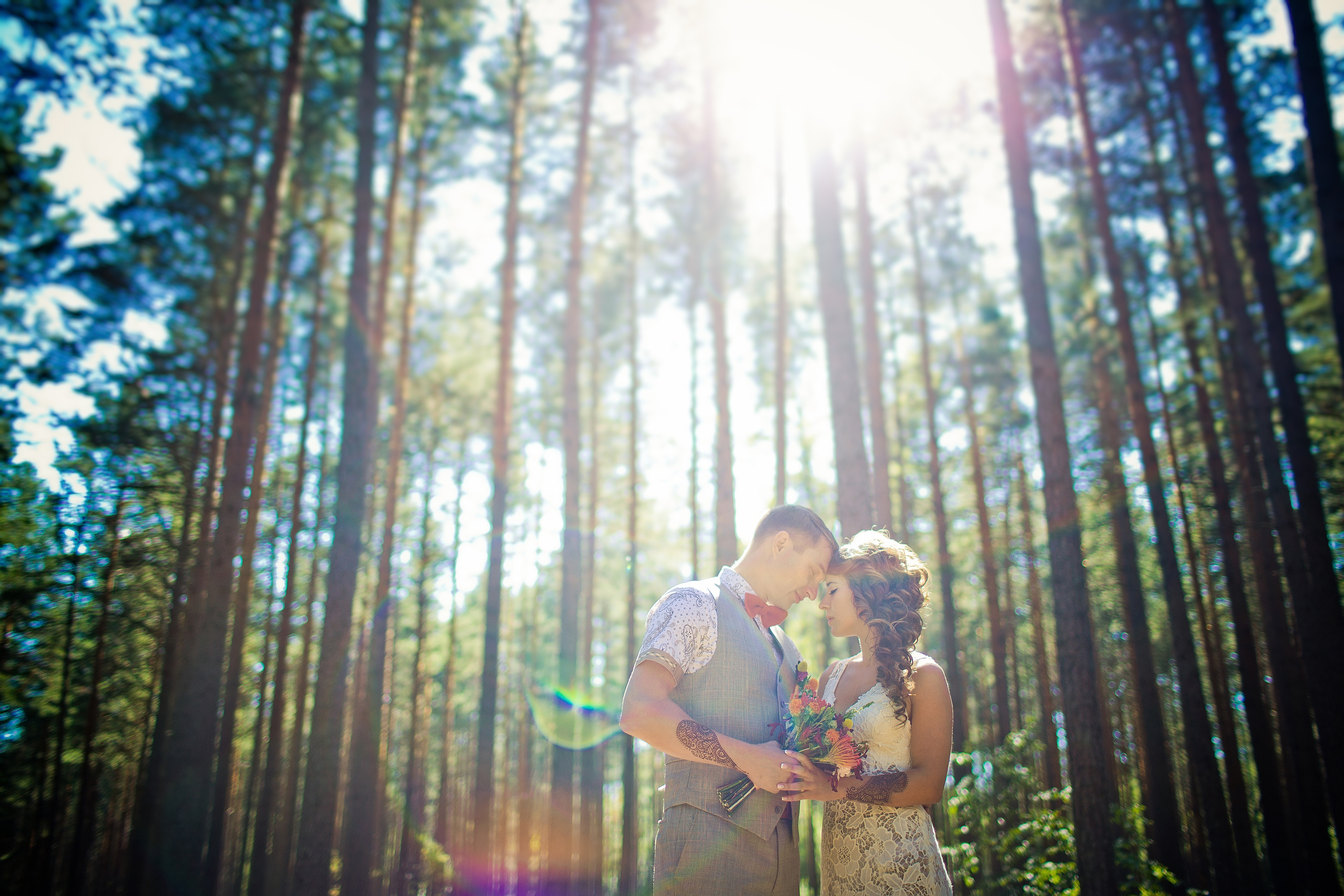 жених с невестой соприкасаются лбами в сосновом лесу в контровом свете