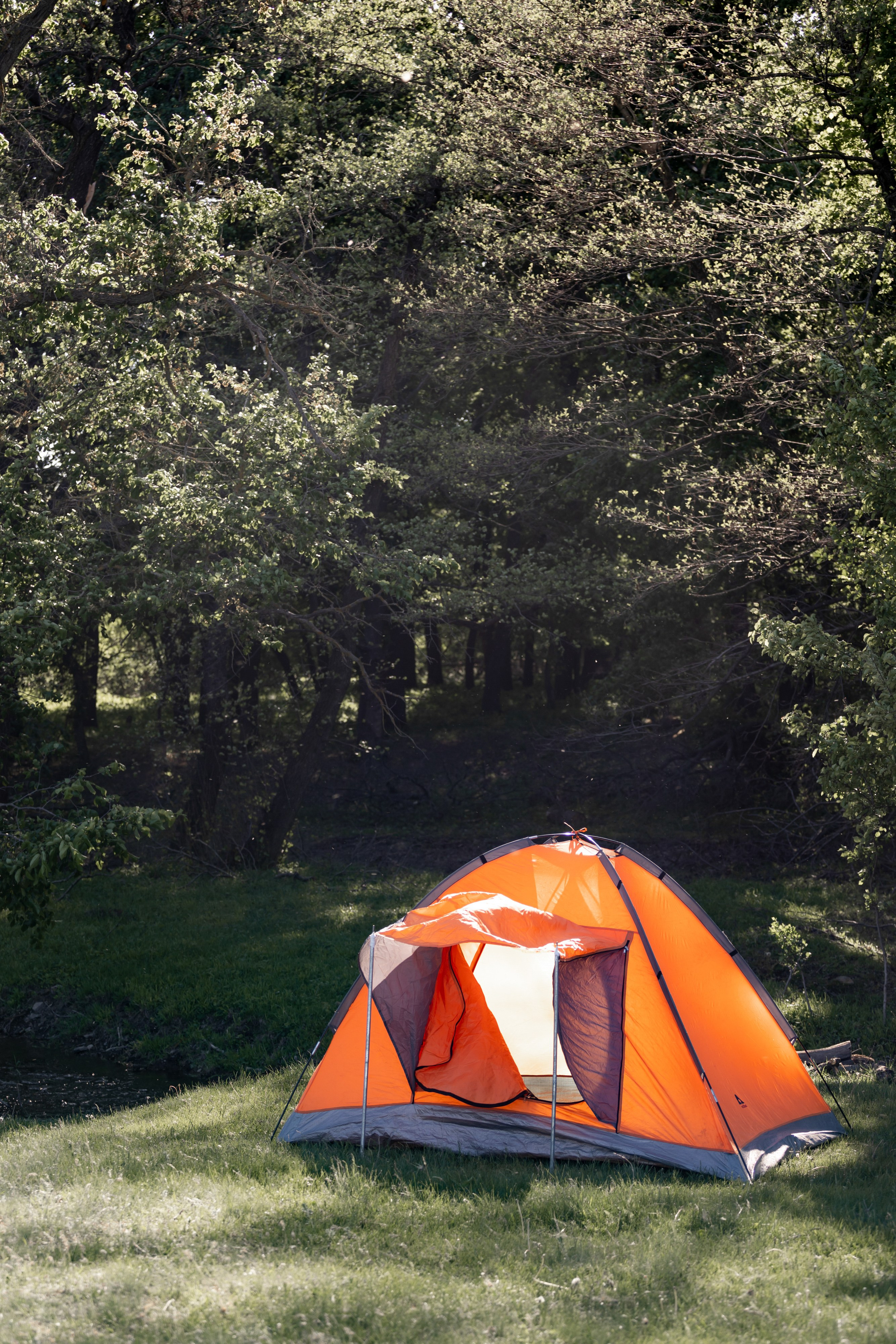 Вадим и Екатерина. Свадебный и семейный фотограф Луганск, Ростов, Краснодар Роман Мацнев