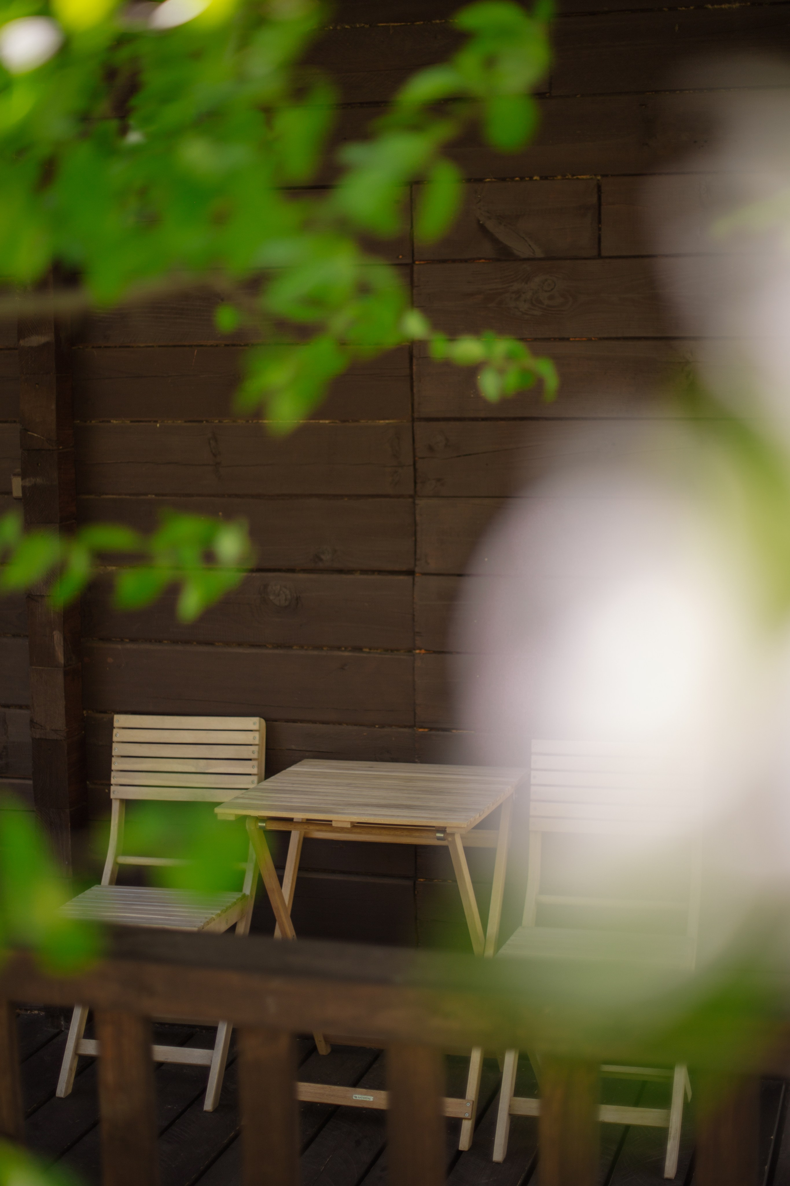 Контент для отелей. Фотограф Горный Алтай