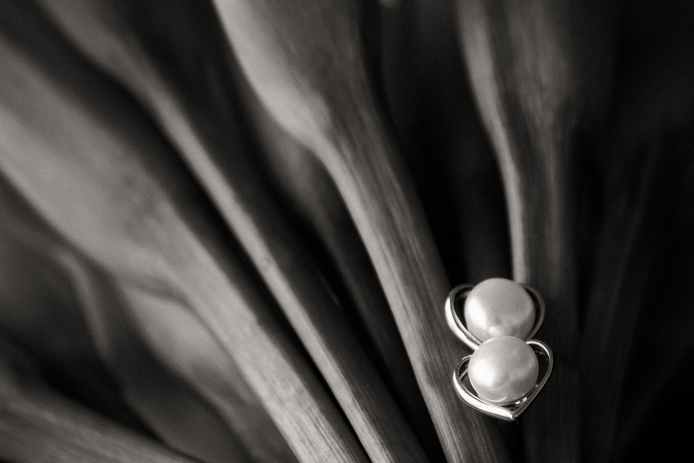 Екатерина Денис. Свадебный и семейный фотограф в Москве и Подмосковье Лариса Козлова