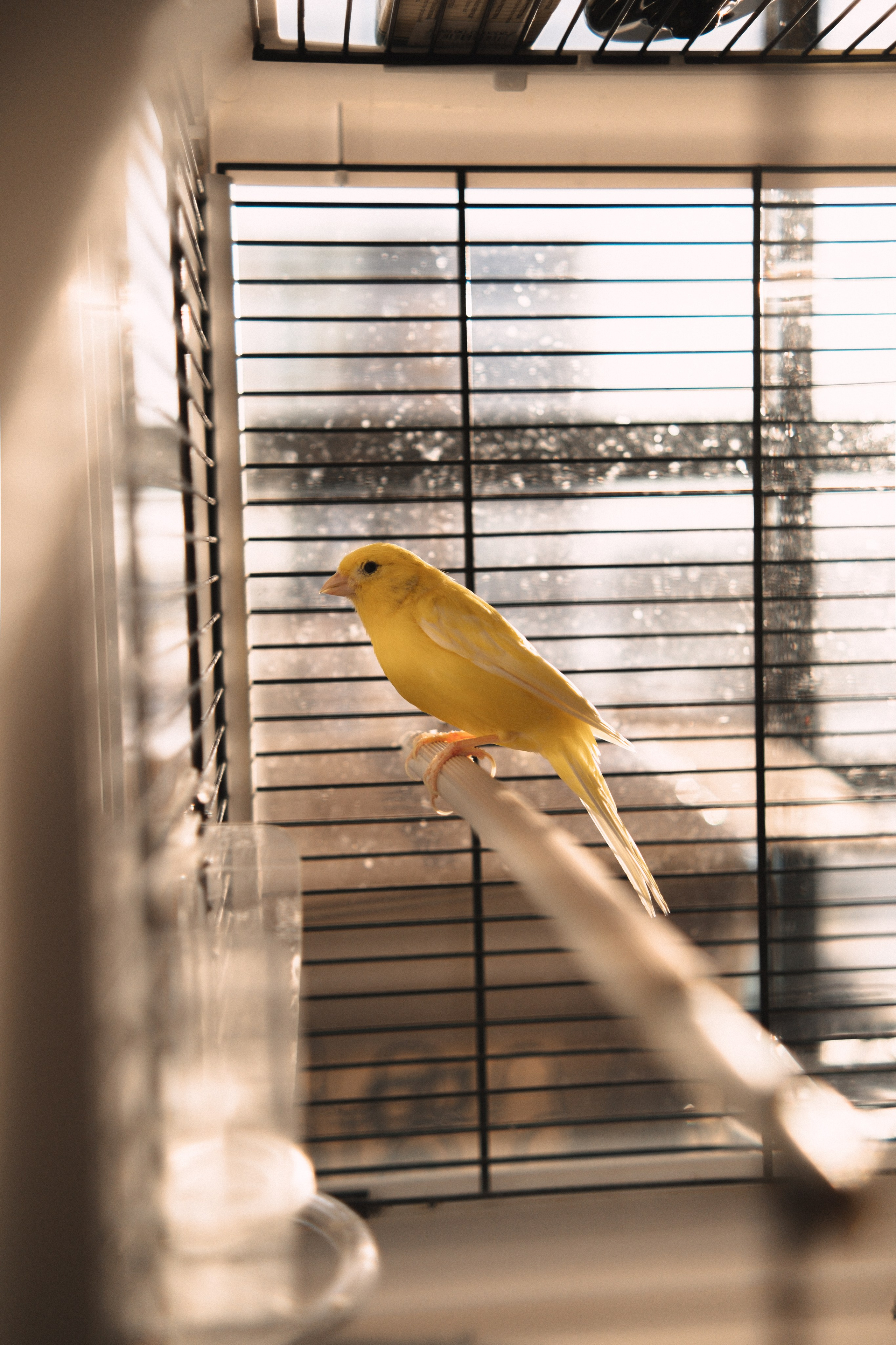 Лёвушка. Семейный фотограф Уфа Головченко Анастасия