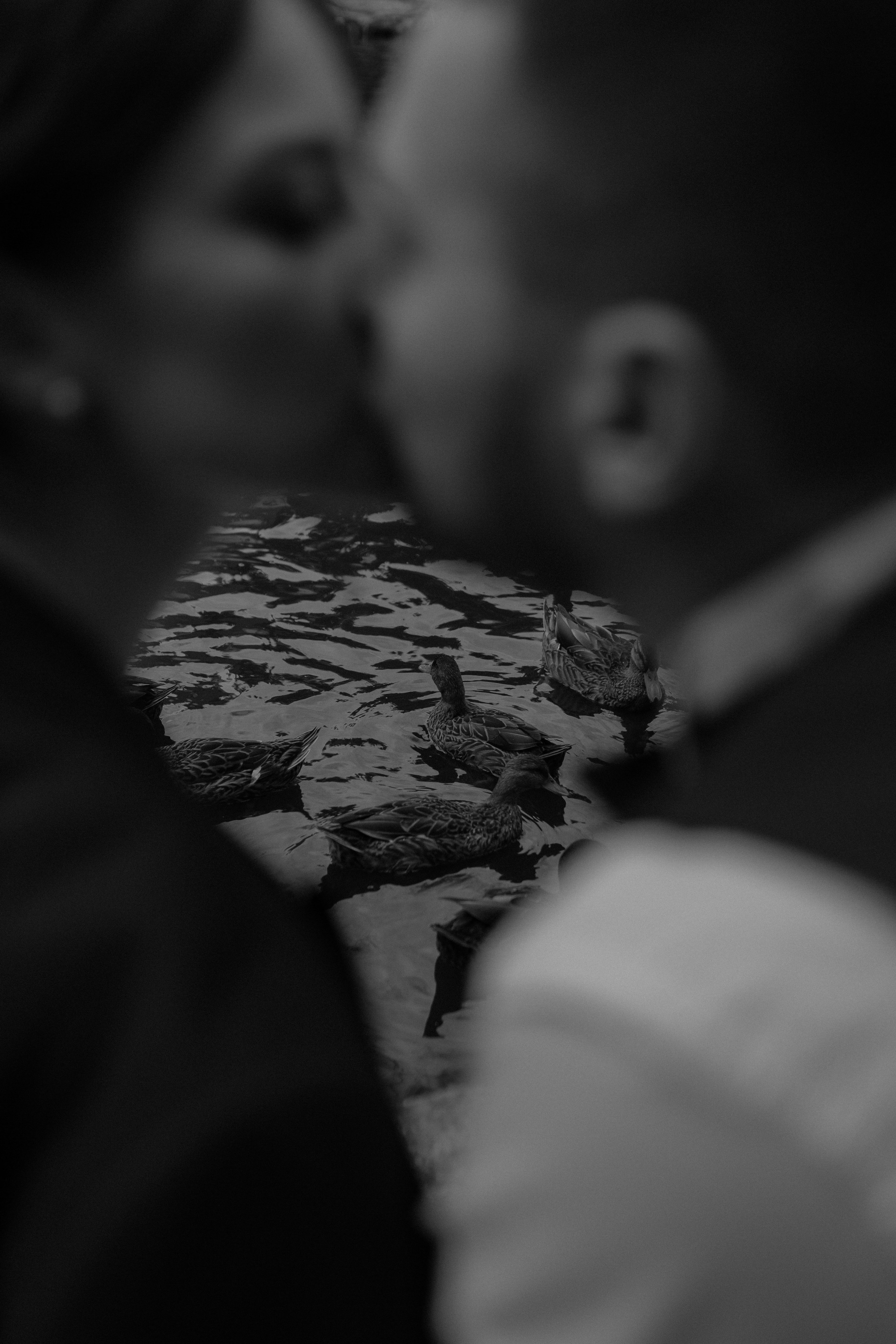 Мария и Георгий. Главная