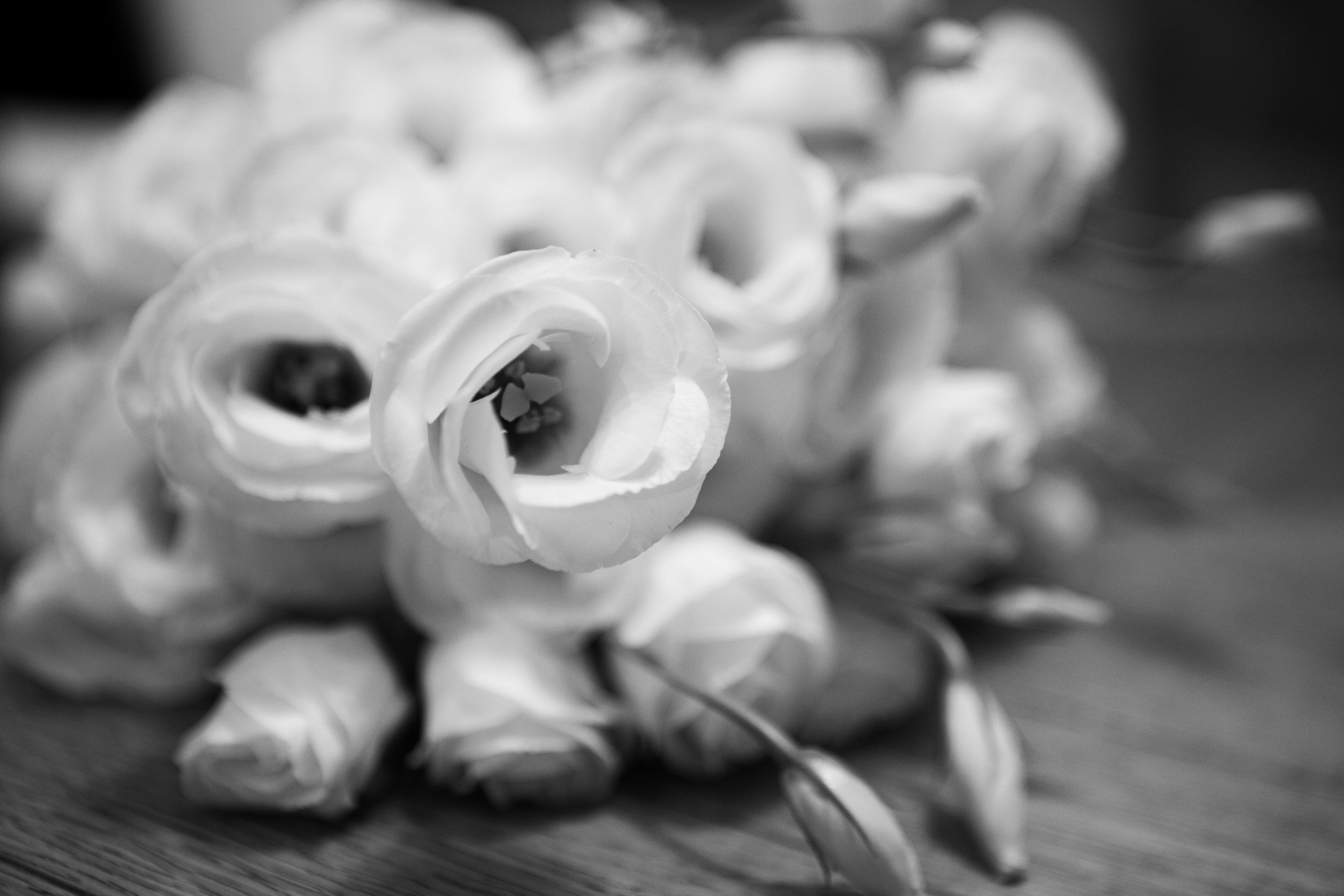 Владимир & Алиса. Фотограф Екатеринбург Яна Язовская