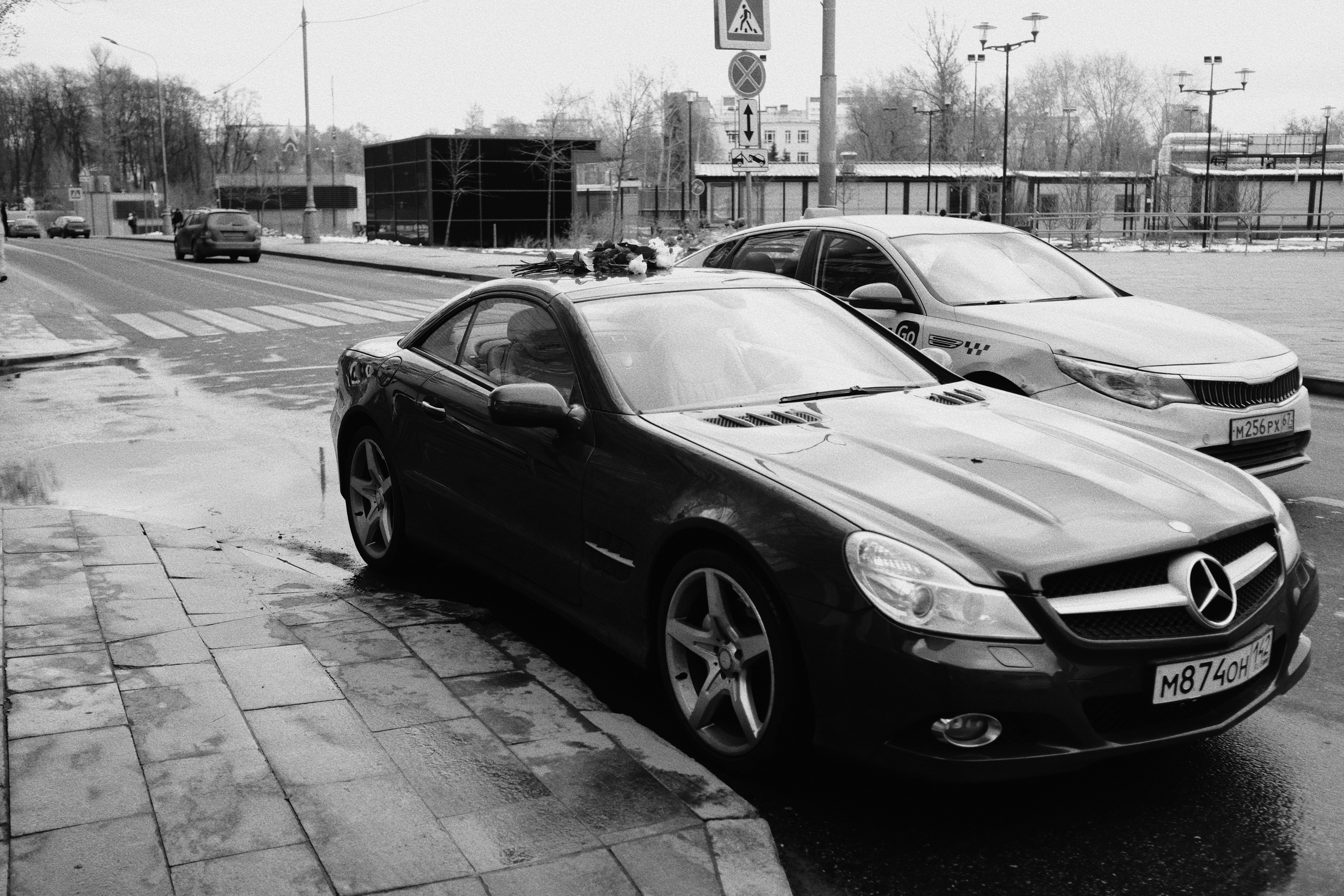 Репортаж. Аня белка — художница и фотограф