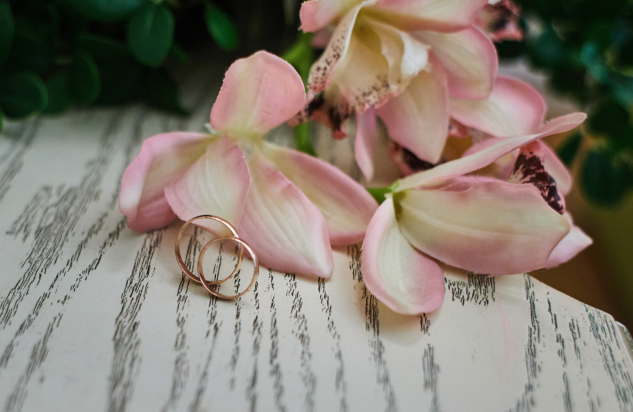 Илья и Ксюша. Семейный и свадебный фотограф в Ярославле Надежда Бойкова