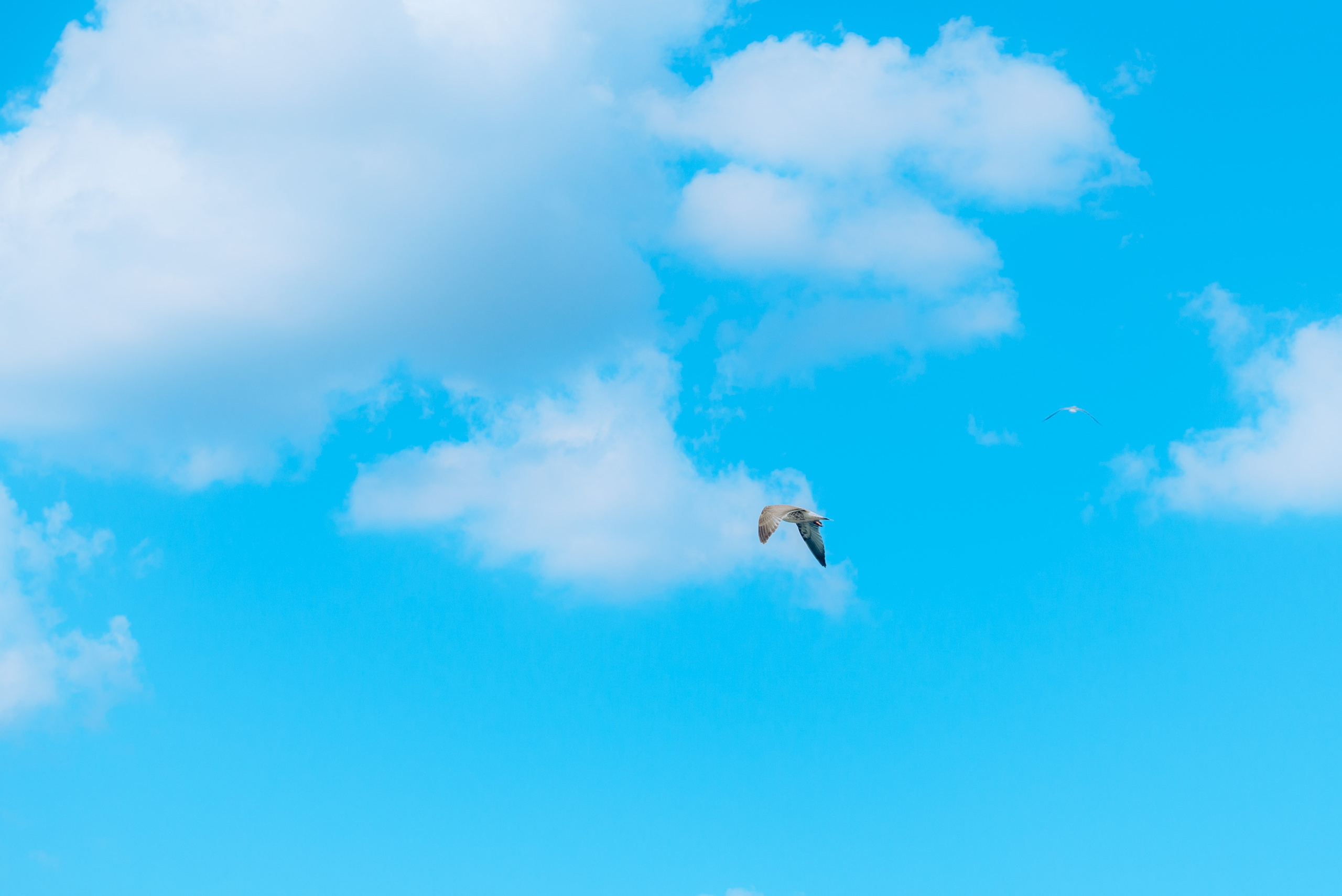 Маяк на Ладоге фотосессия