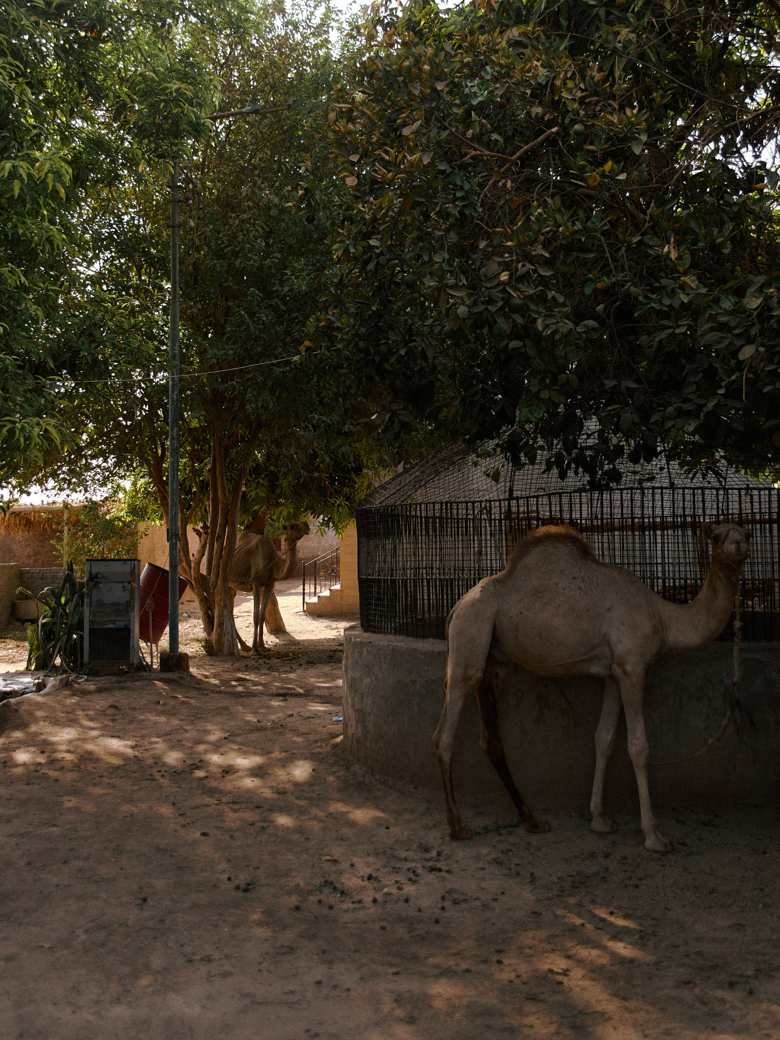 Улицы. Jorgis Talè — photographer, kind person, teacher of arts and other mag