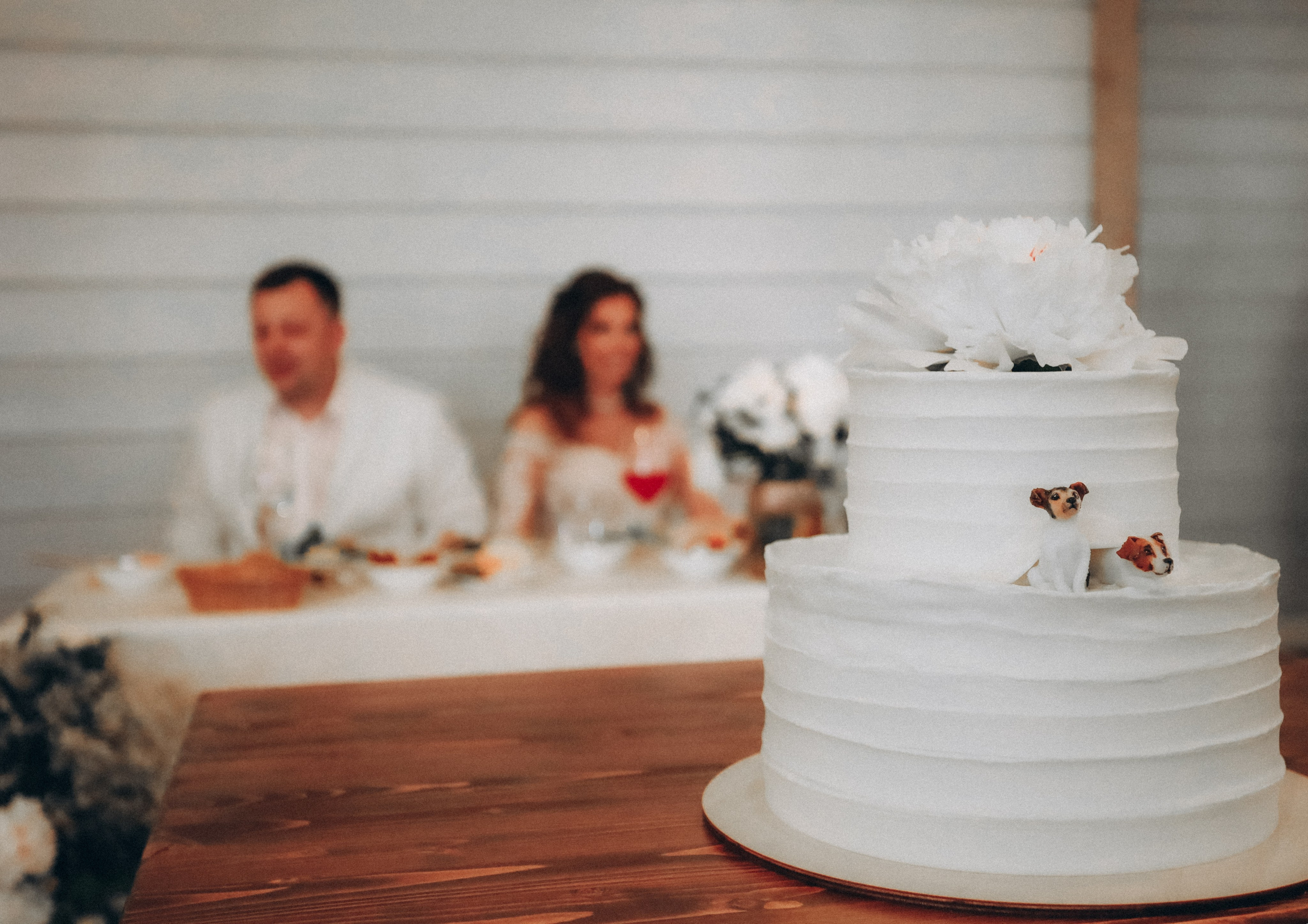 𝒮𝑒𝓇𝑔𝑒𝓎 & 𝒥𝓊𝓁𝒾𝒶. Свадебный фотограф в Санкт-Петербурге