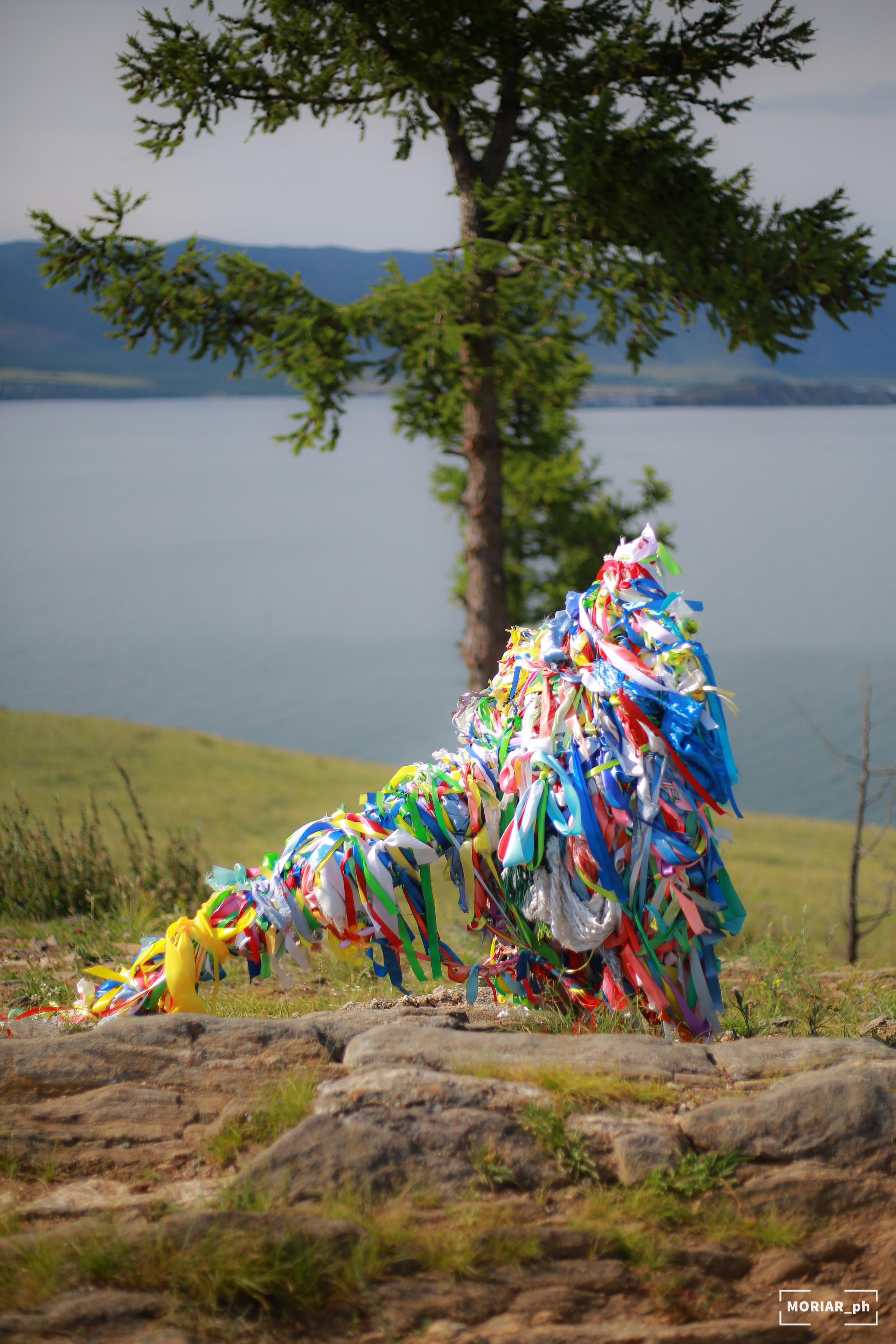 Отпуск. Портретный и репортажный фотограф в Кемерово Алексеева Анастасия