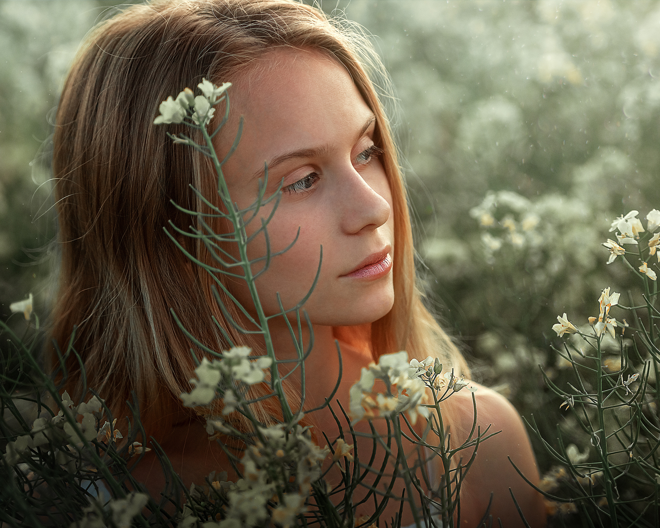 Фотосессия для Екатерины в рапсе. Семейный и детский фотограф в Краснодарском крае Натали Фищенко