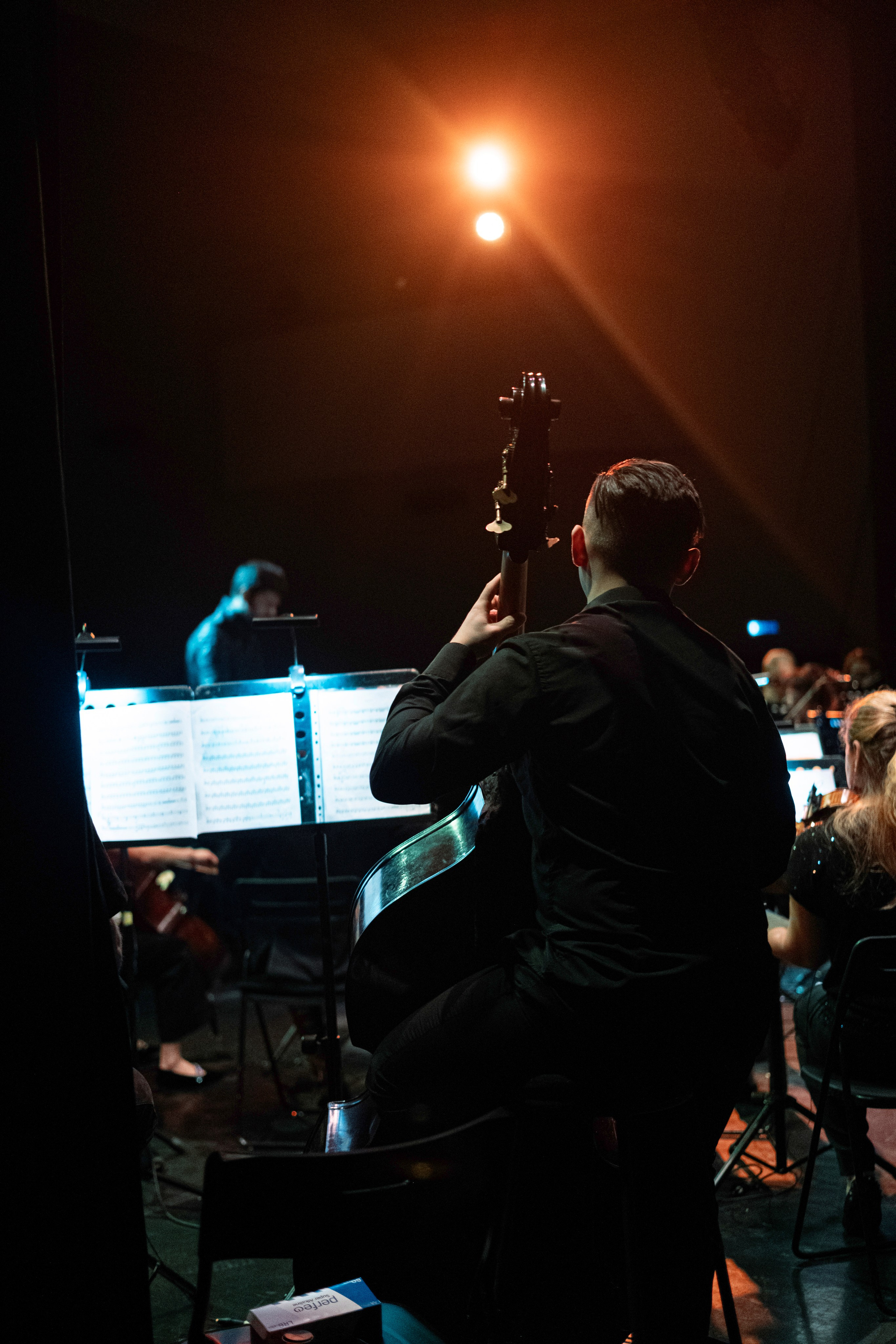 Metalliada (симфонический оркестр). Концертный фотограф в Москве Алексей Вовк