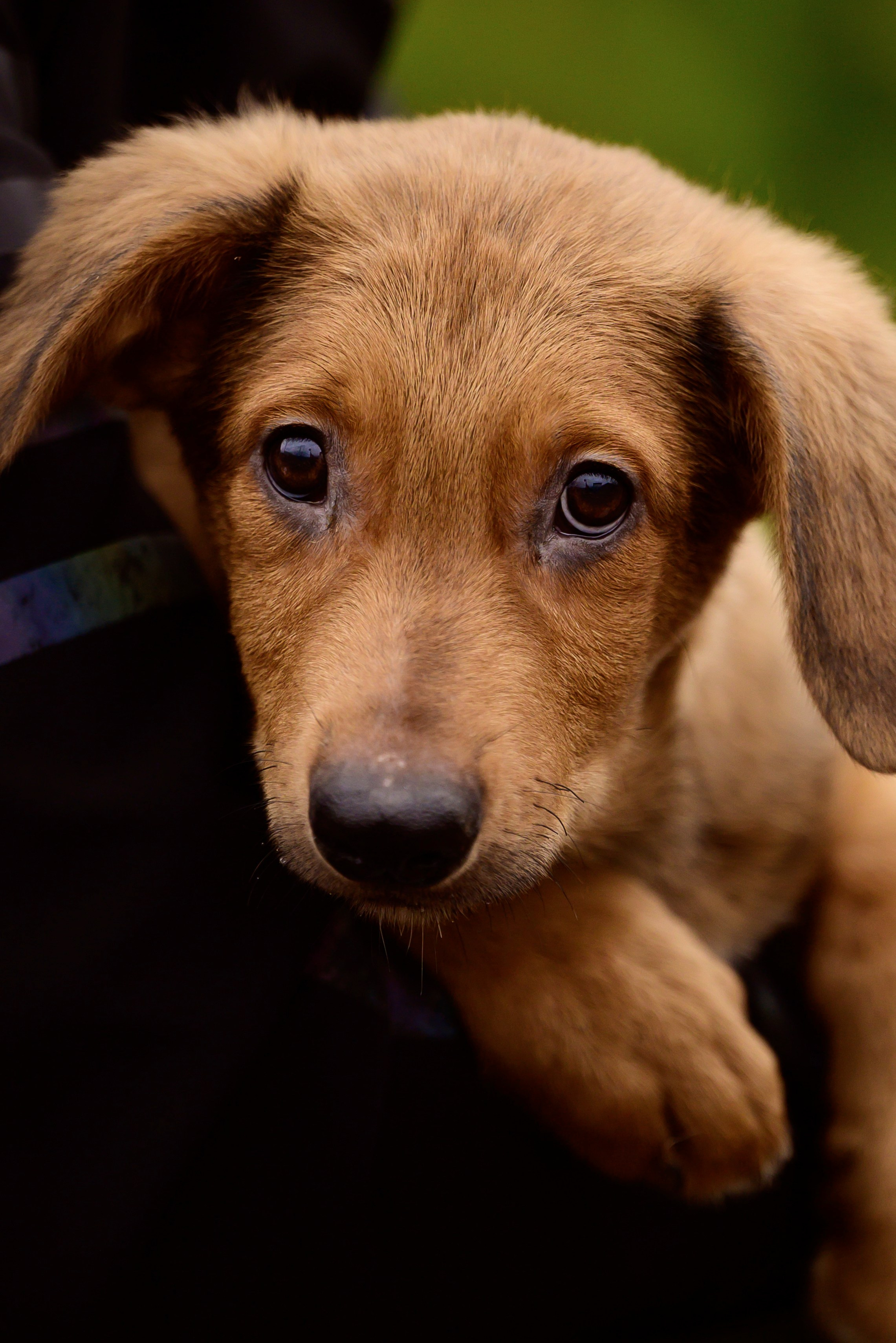 Круассанчики. Мила Астахова