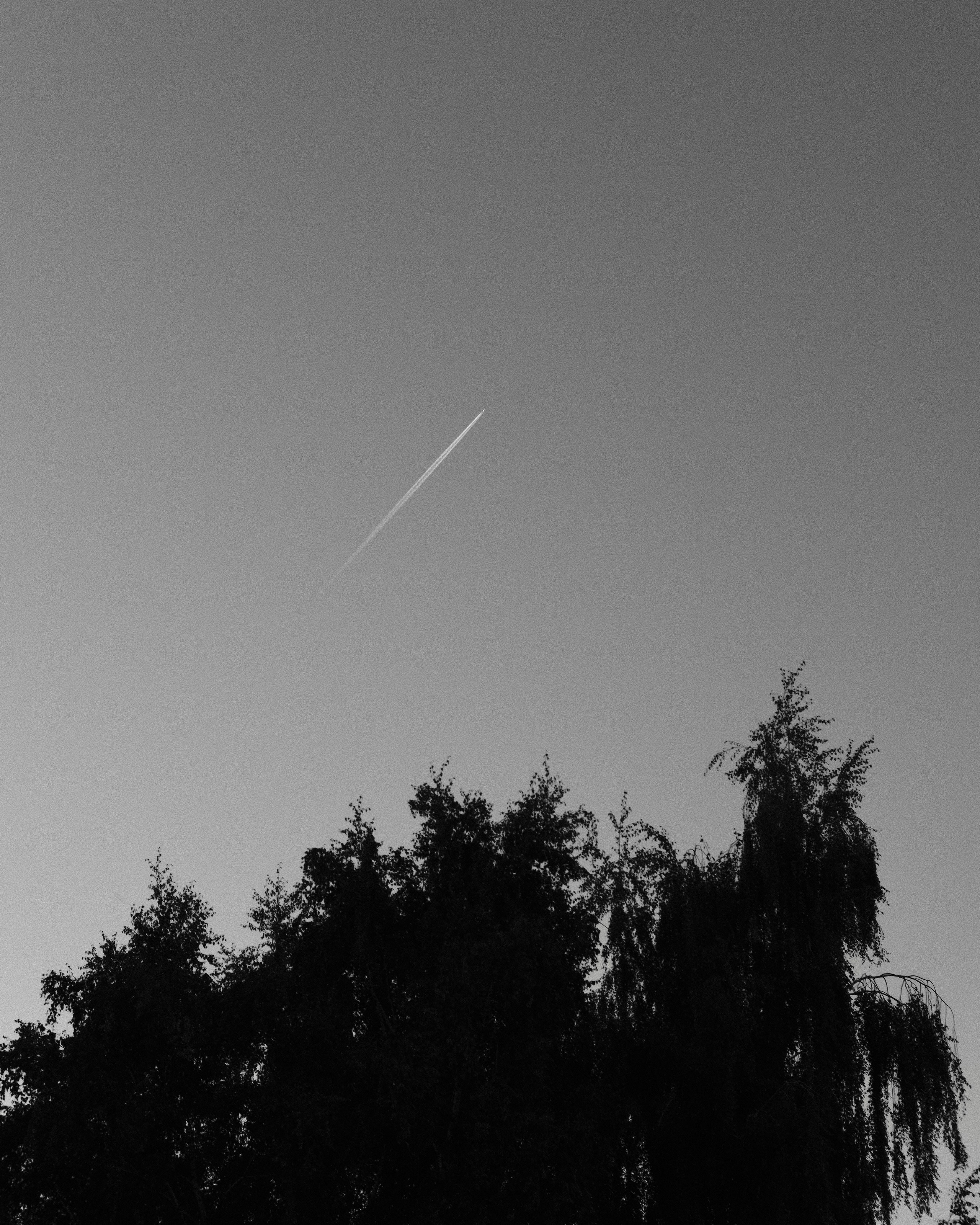 Крылатское. Фотограф Маргана Лоция