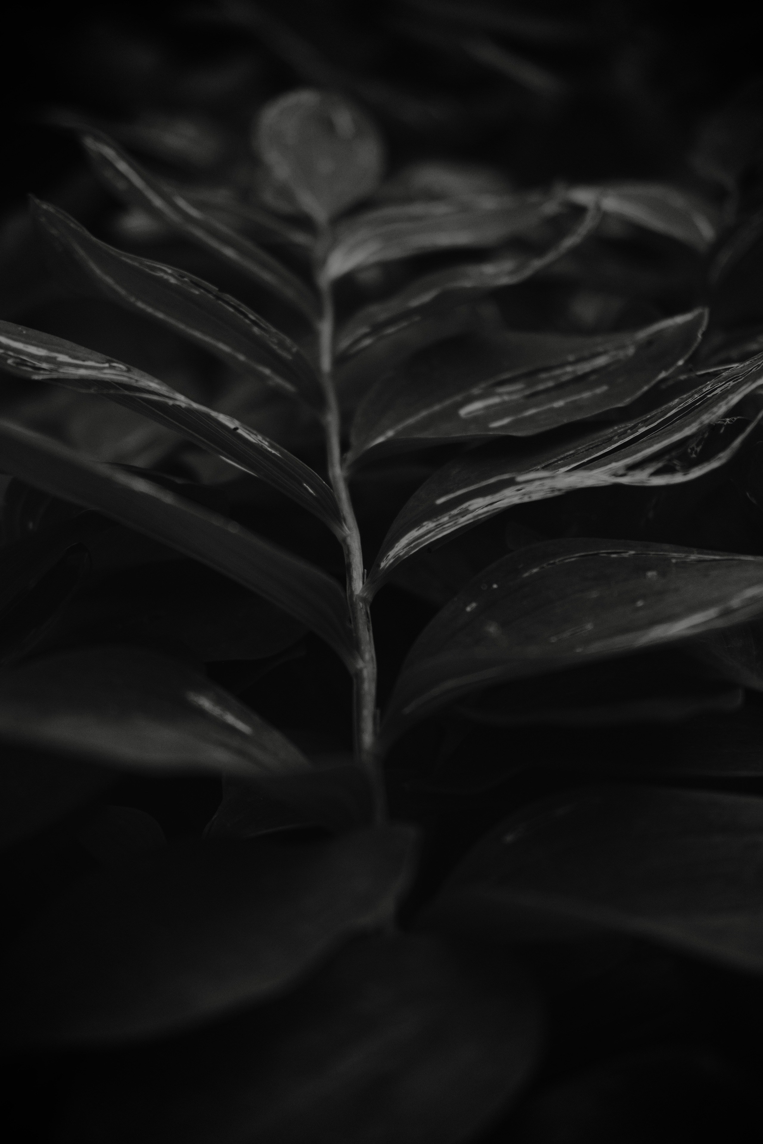 Природа. Фотограф Маргана Лоция