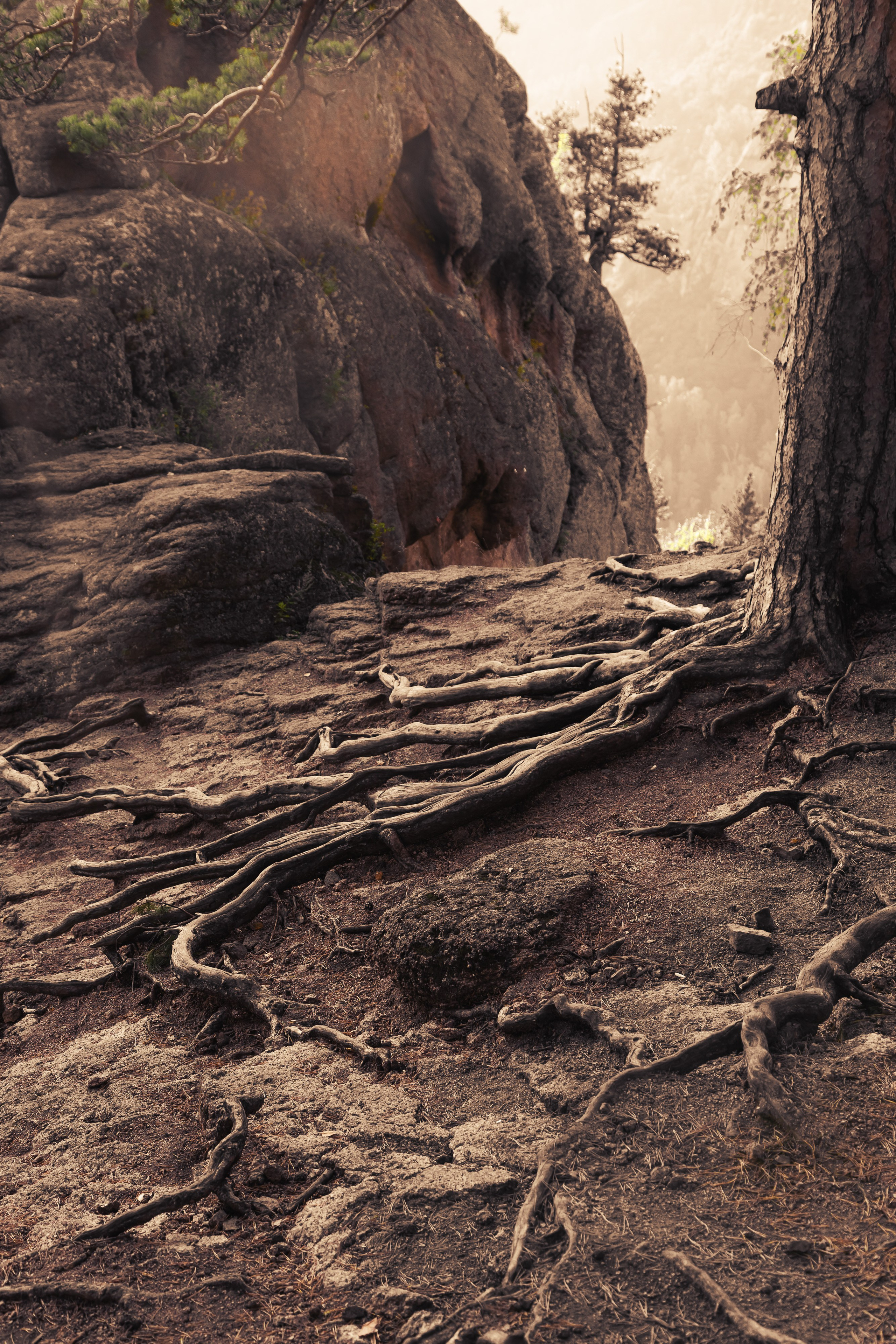 Ольга ~ Дар рода. НАСТИН ВЕТЕР — фотографии о тебе Анастасия Карнаухова — фотограф твоей личности