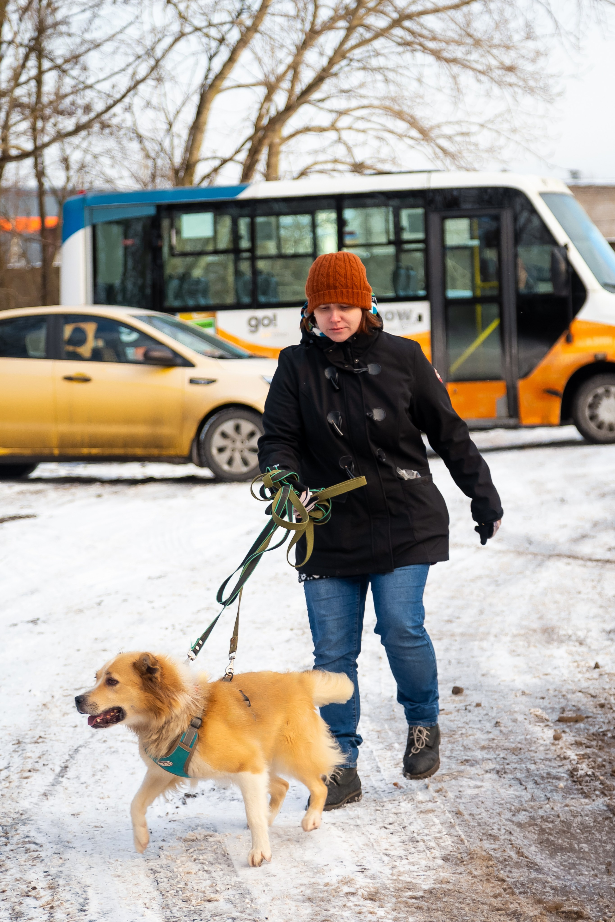 Petshop Забота. Фотограф в Санкт-Петербурге Чумаков Семен