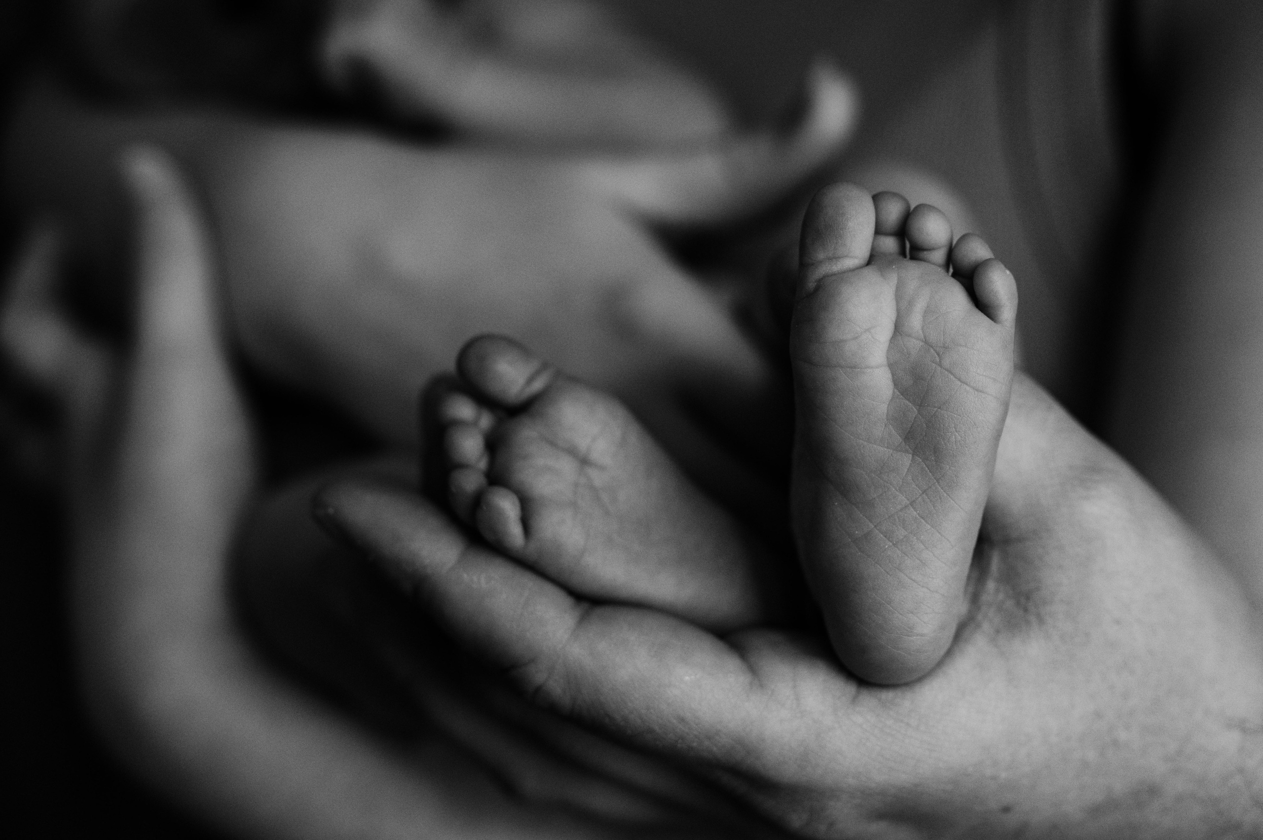 Лизавета, Никита и Мирослава. Фотограф беременности и семьи, домашние съемки, Ньюборн